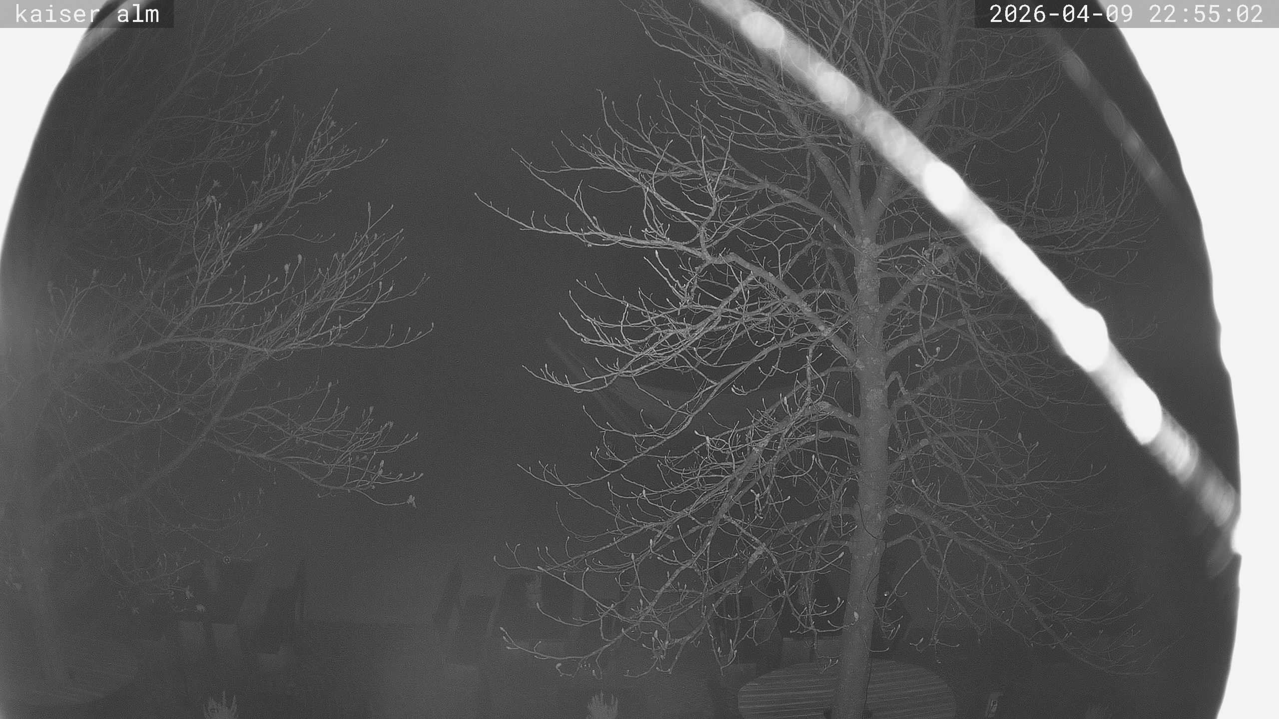 Archiv Foto Webcam Kaiseralm Breitenberg