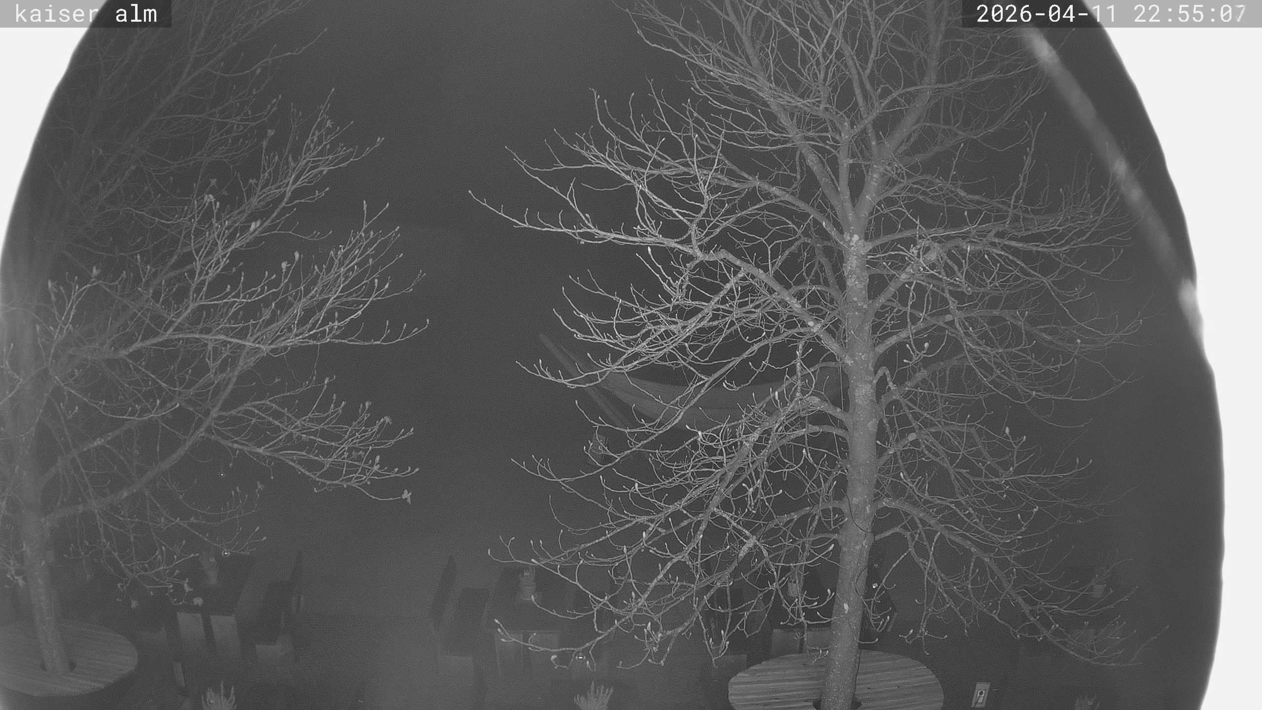 Archiv Foto Webcam Kaiseralm Breitenberg