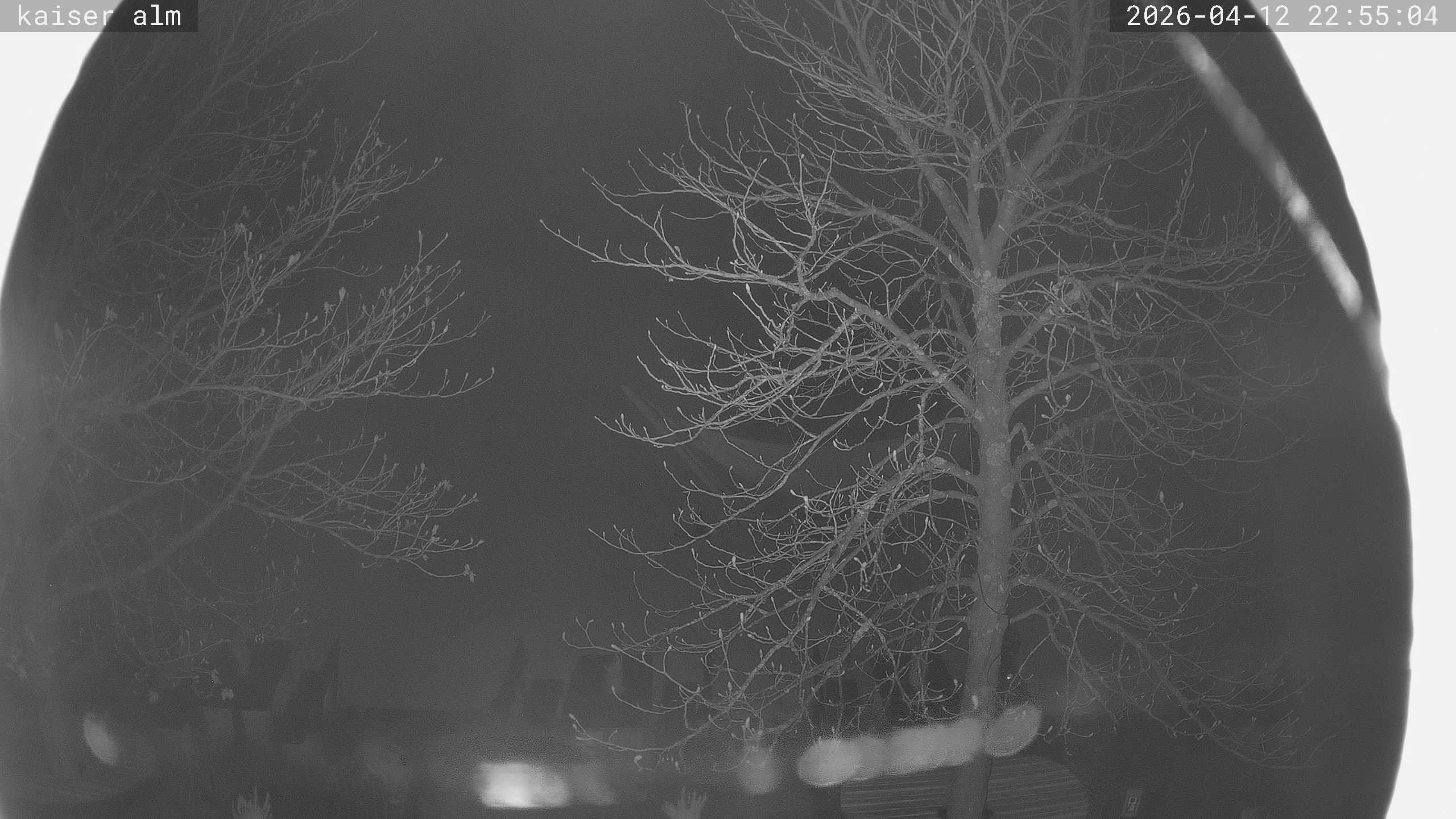 Archived image Breitenberg - Webcam at Kaiseralm