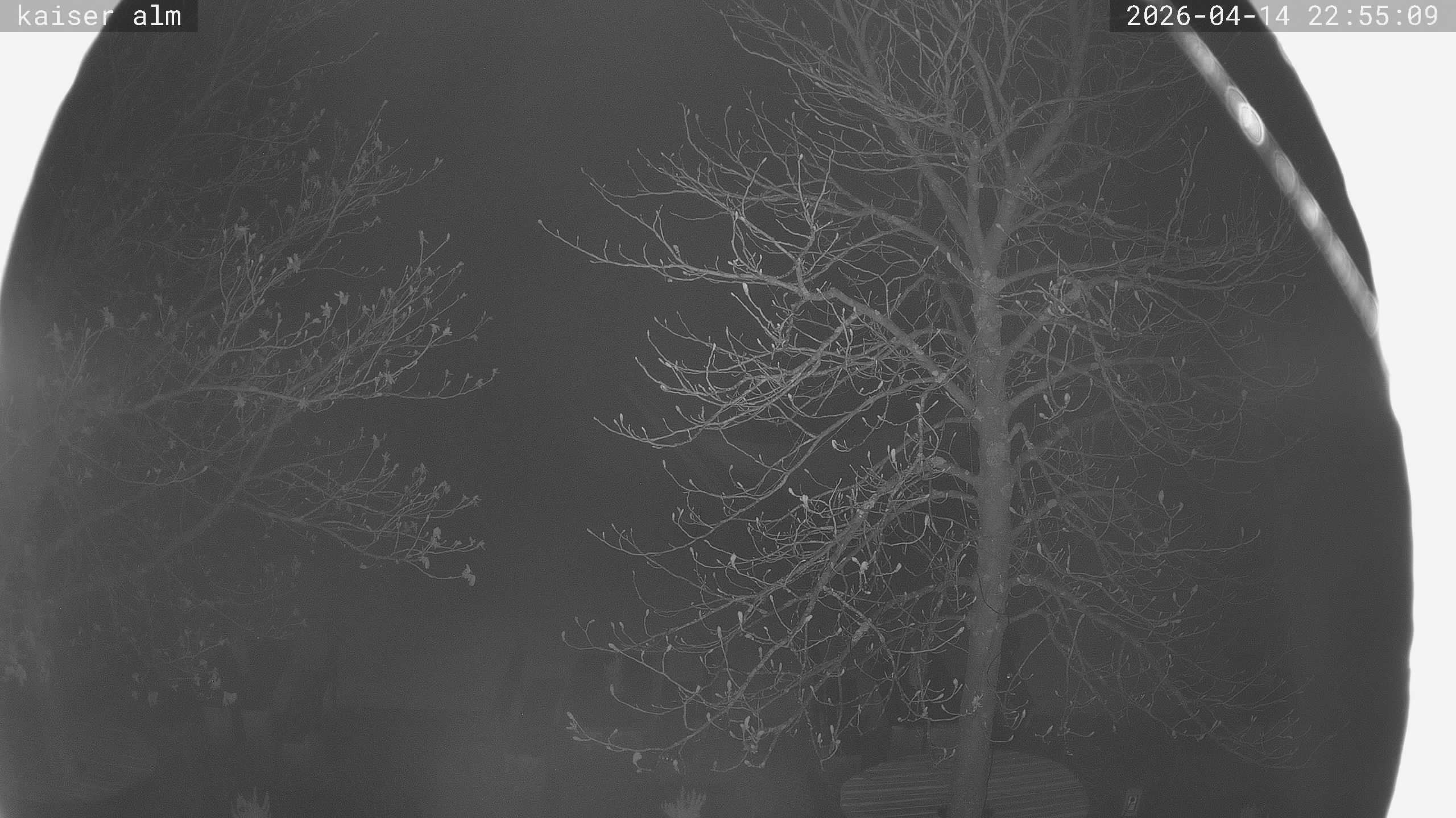 Archived image Breitenberg - Webcam at Kaiseralm