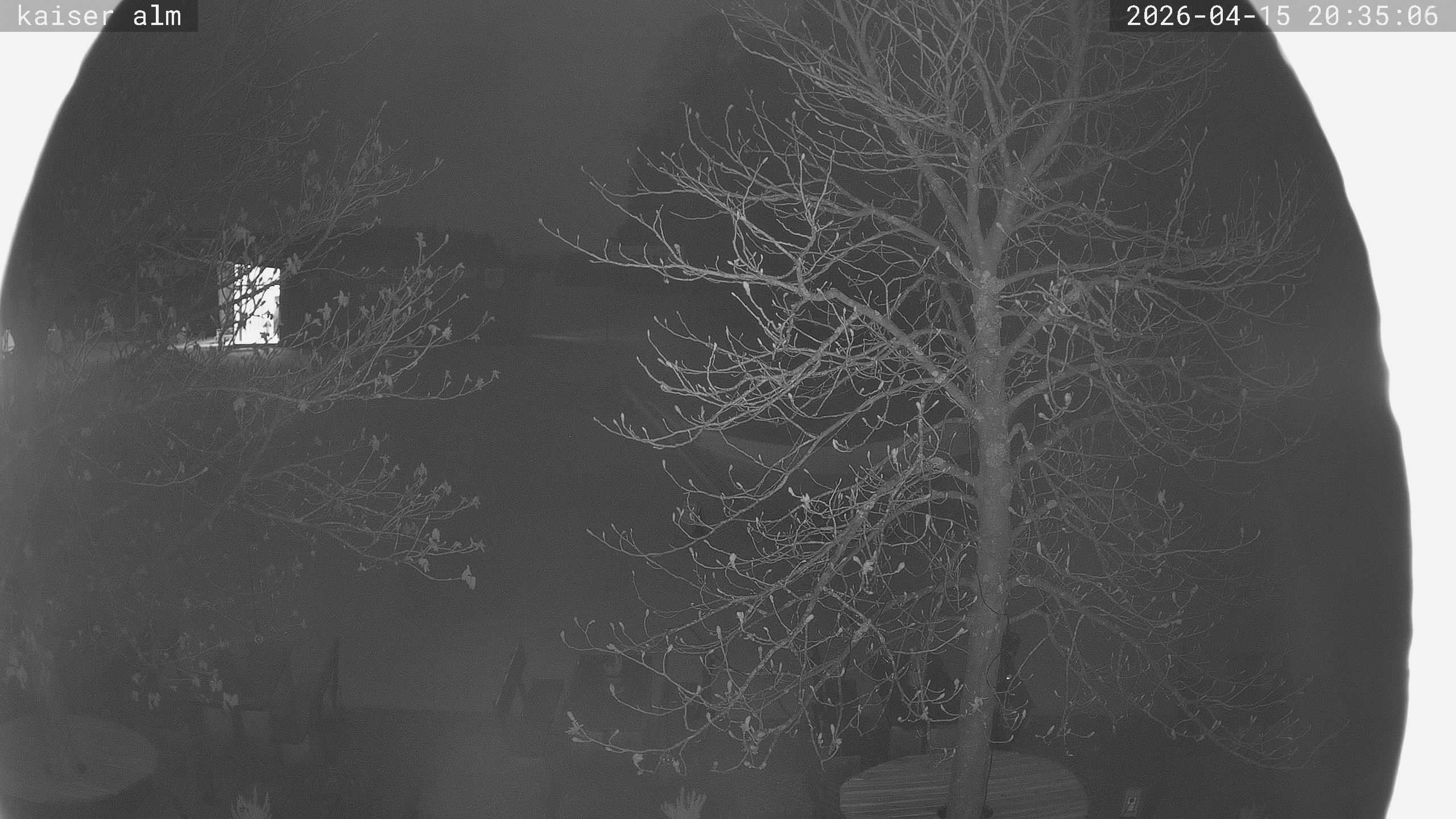 Archived image Breitenberg - Webcam at Kaiseralm