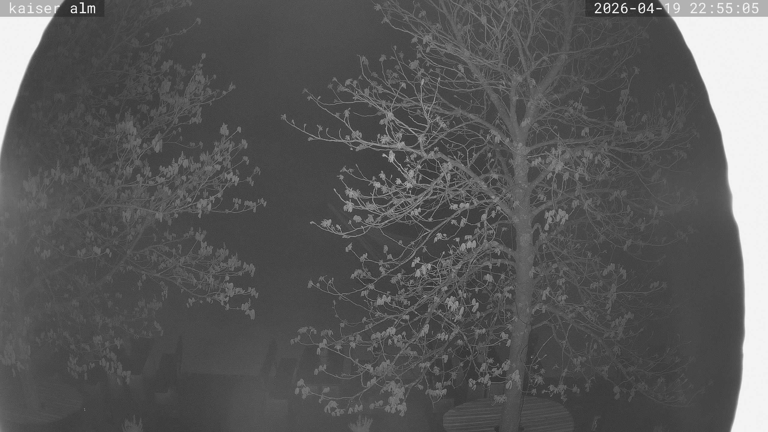 Archiv Foto Webcam Kaiseralm Breitenberg