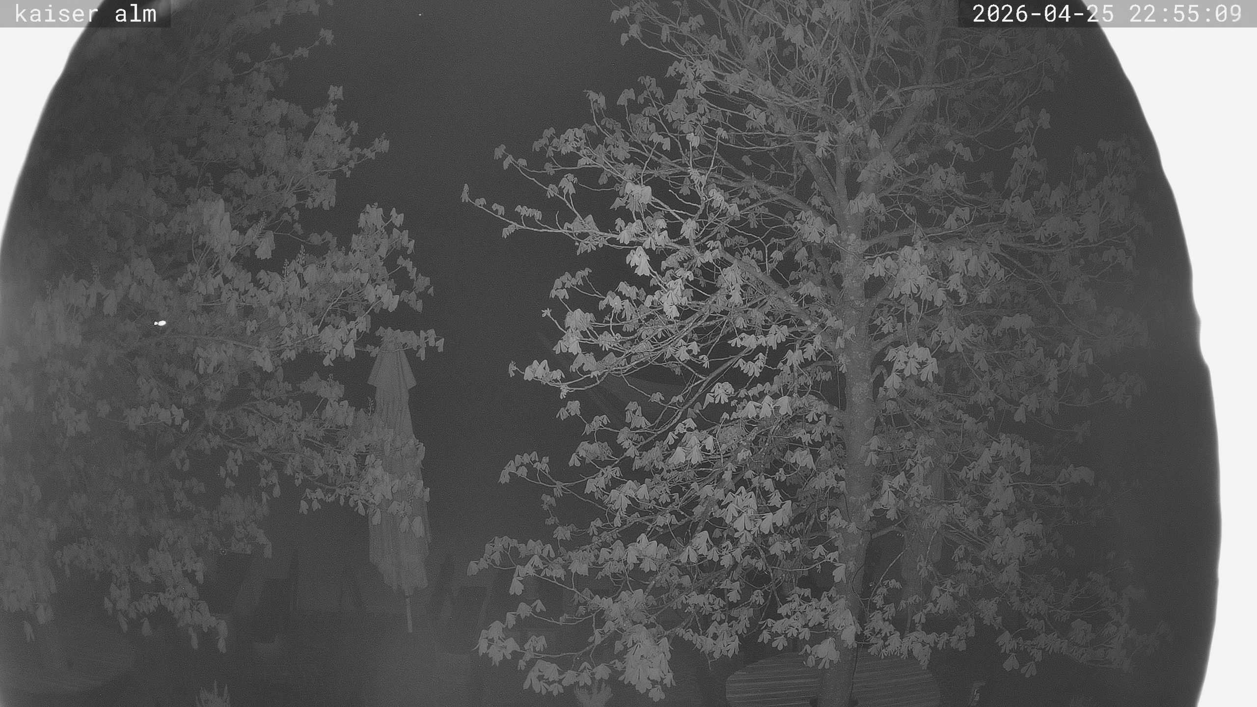 Archived image Breitenberg - Webcam at Kaiseralm