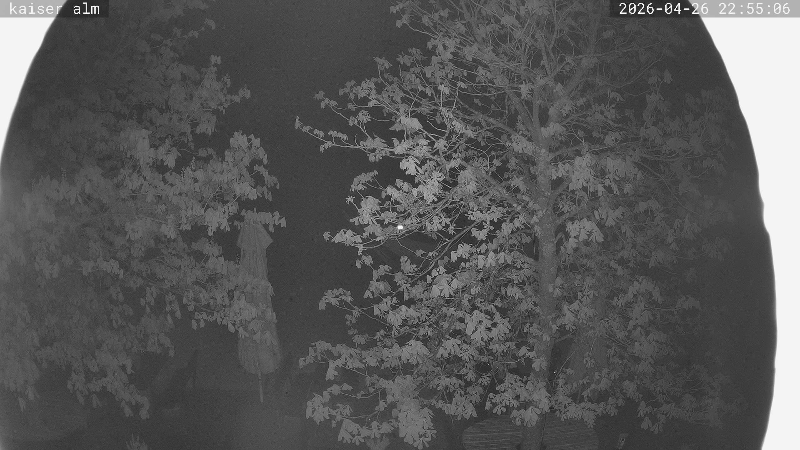 Archived image Breitenberg - Webcam at Kaiseralm