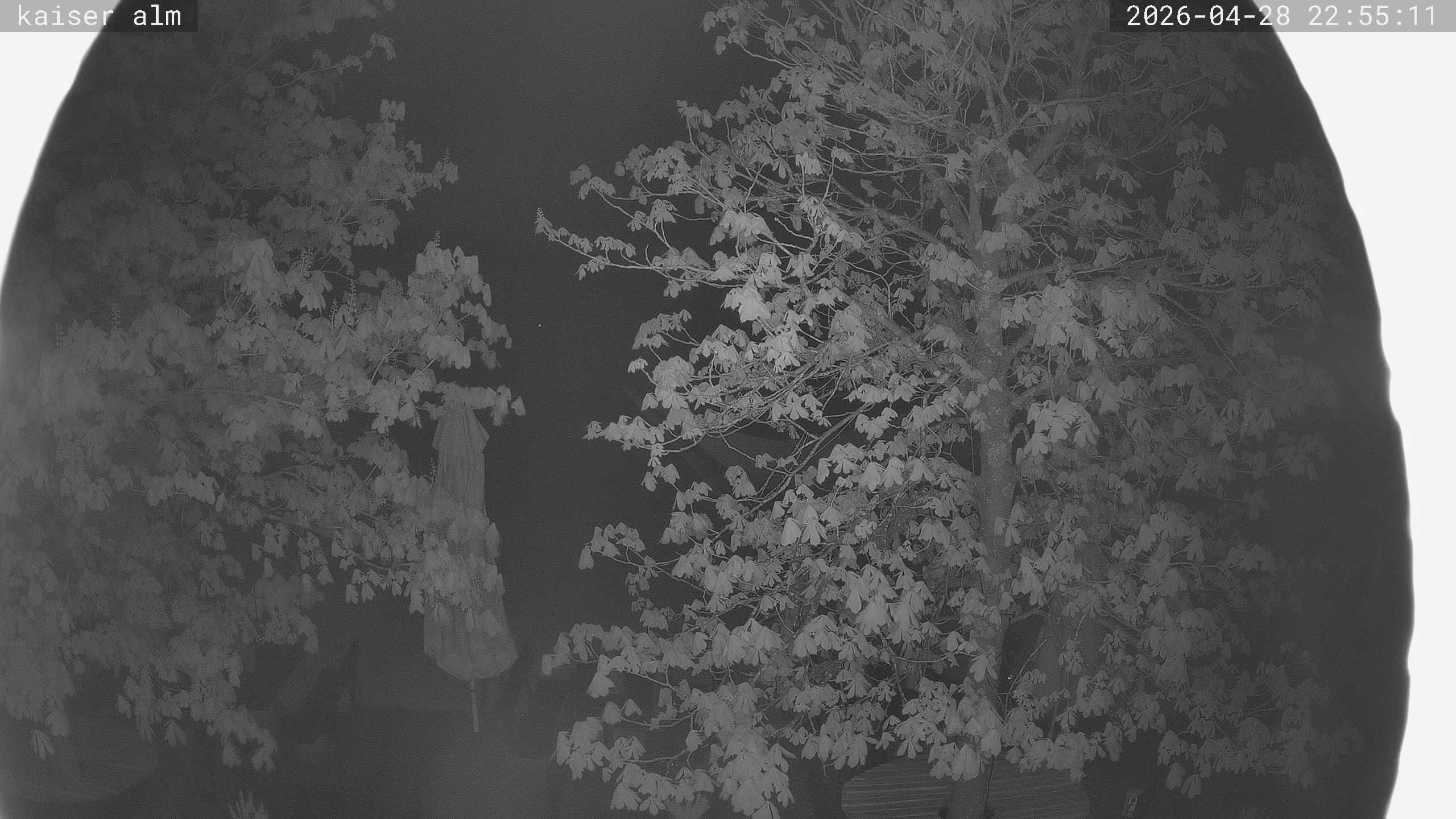 Archiv Foto Webcam Kaiseralm Breitenberg