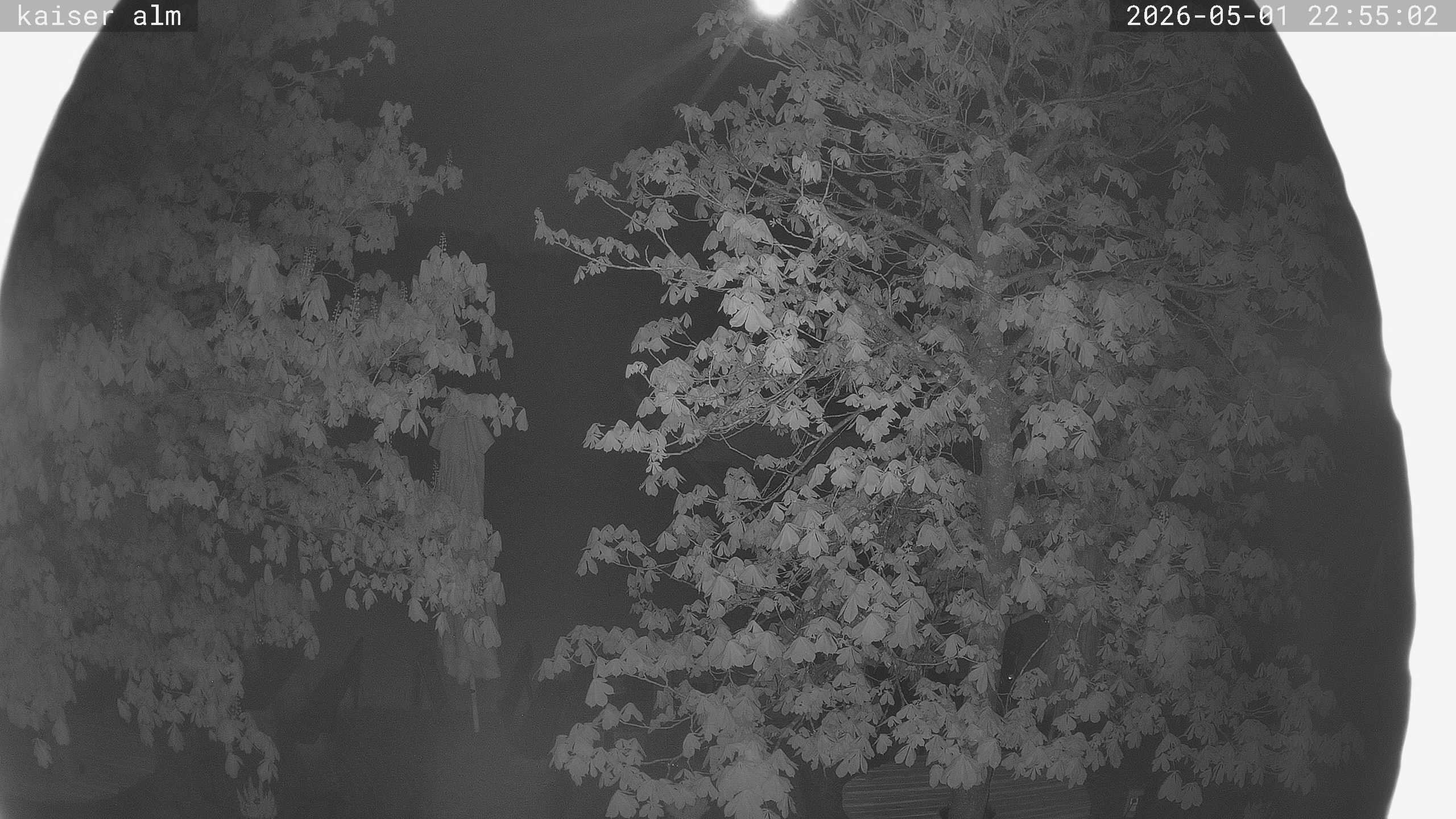 Archiv Foto Webcam Kaiseralm Breitenberg