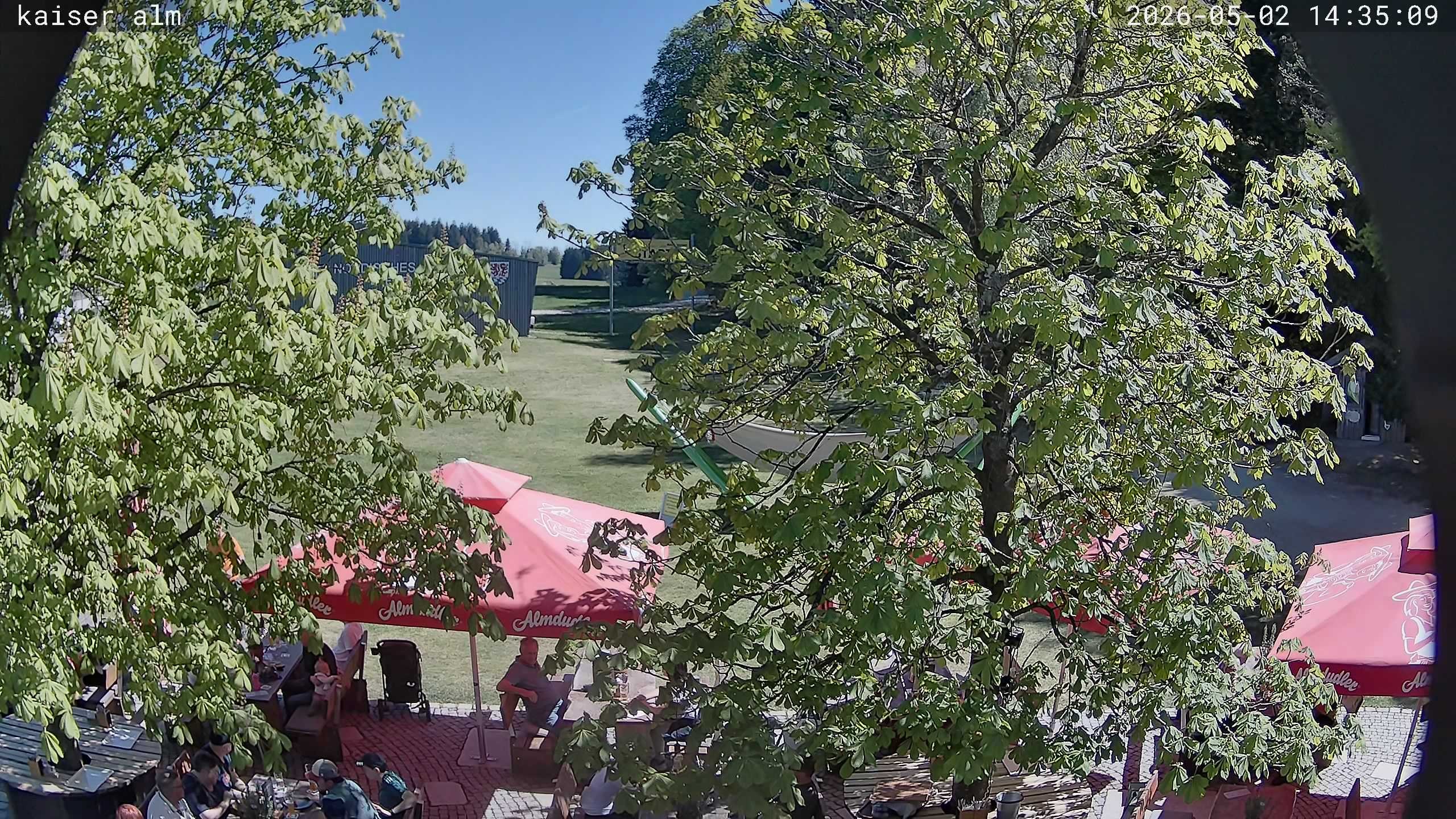 Archived image Breitenberg - Webcam at Kaiseralm