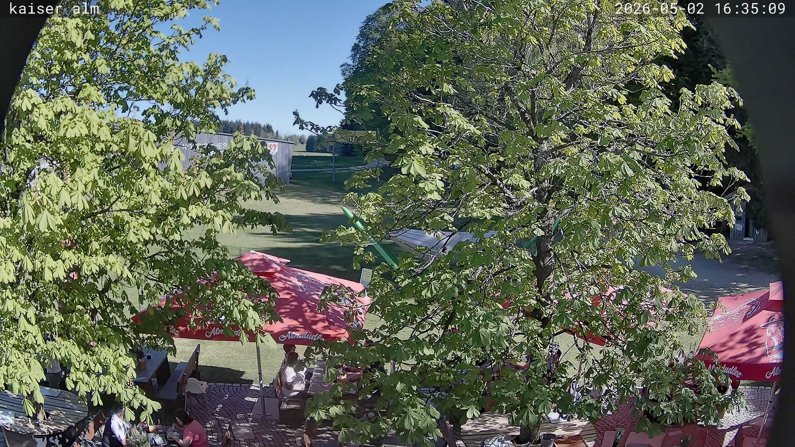 Archived image Breitenberg - Webcam at Kaiseralm