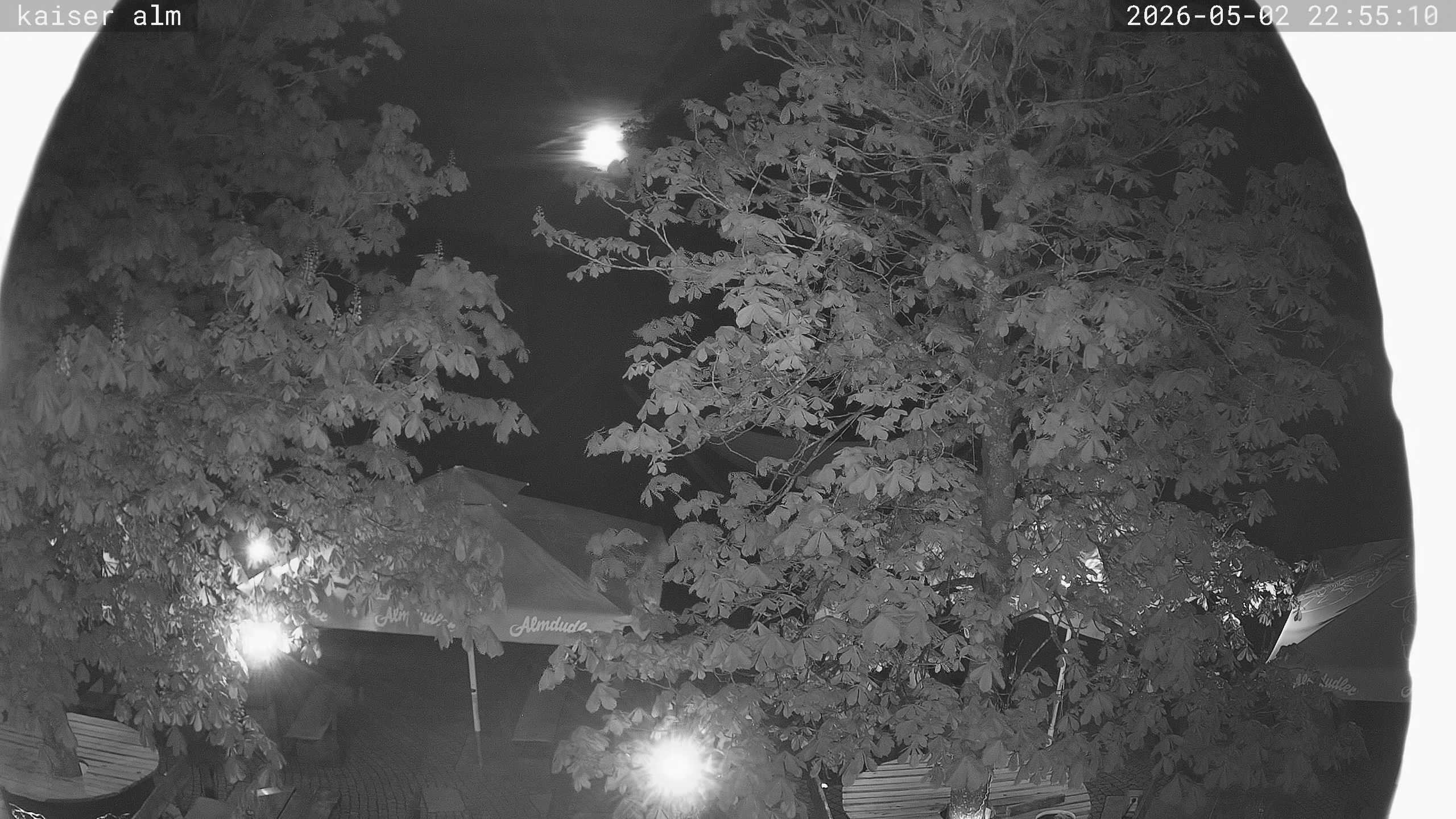 Archived image Breitenberg - Webcam at Kaiseralm