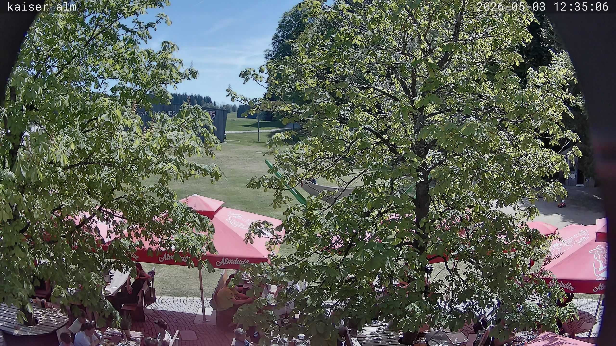 Archiv Foto Webcam Kaiseralm Breitenberg
