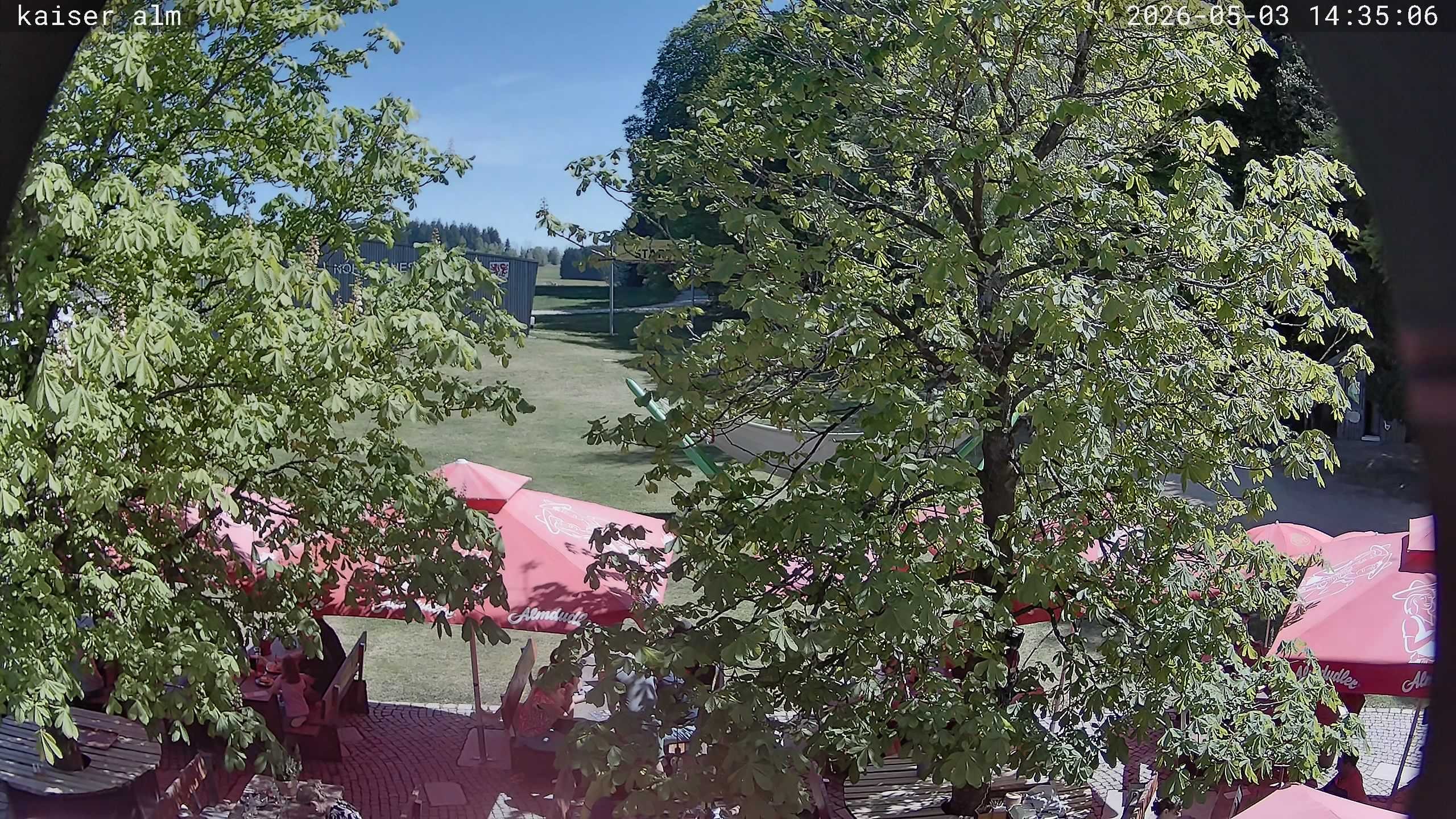 Archiv Foto Webcam Kaiseralm Breitenberg