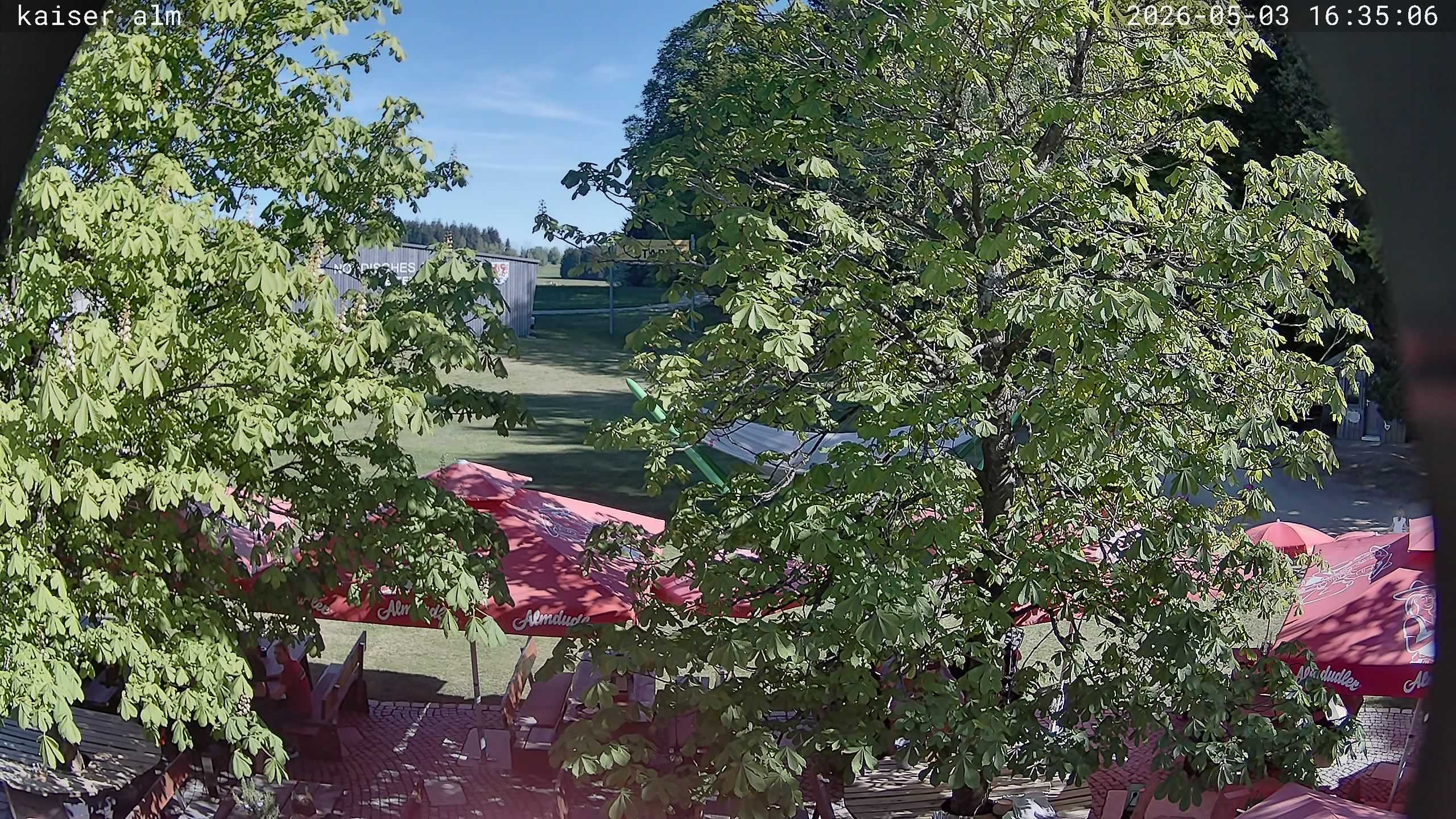 Archiv Foto Webcam Kaiseralm Breitenberg