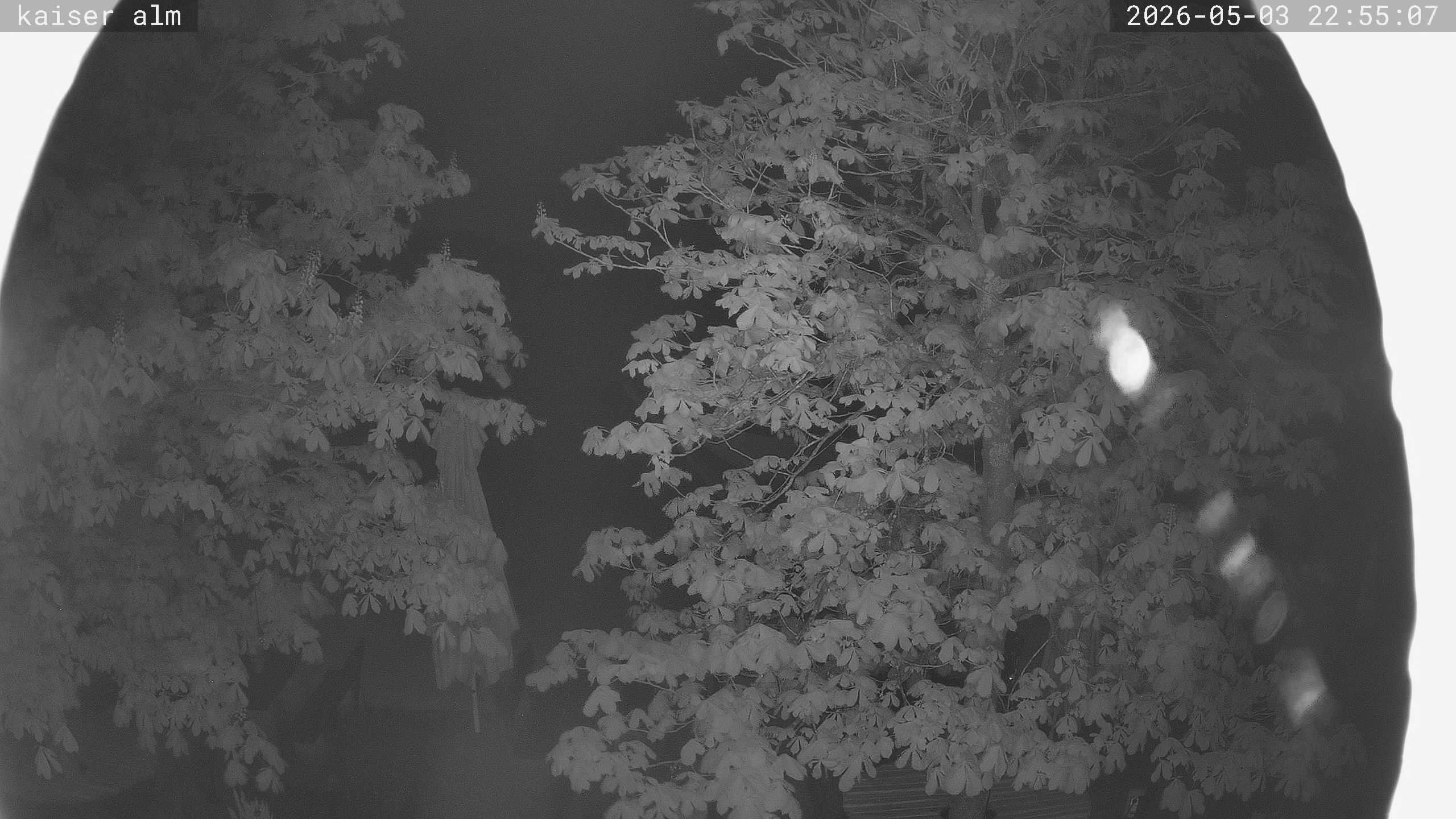 Archiv Foto Webcam Kaiseralm Breitenberg