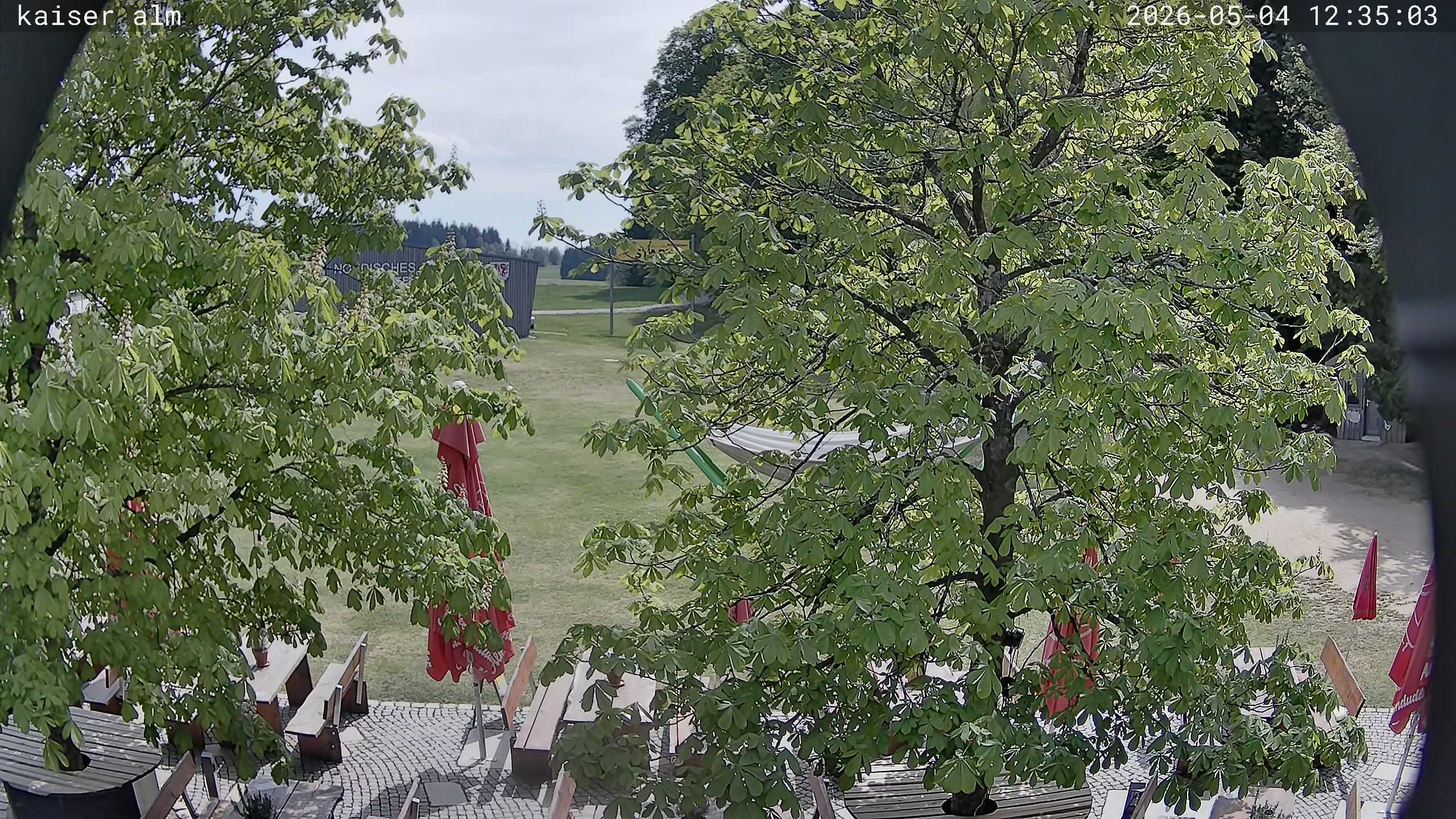 Archiv Foto Webcam Kaiseralm Breitenberg