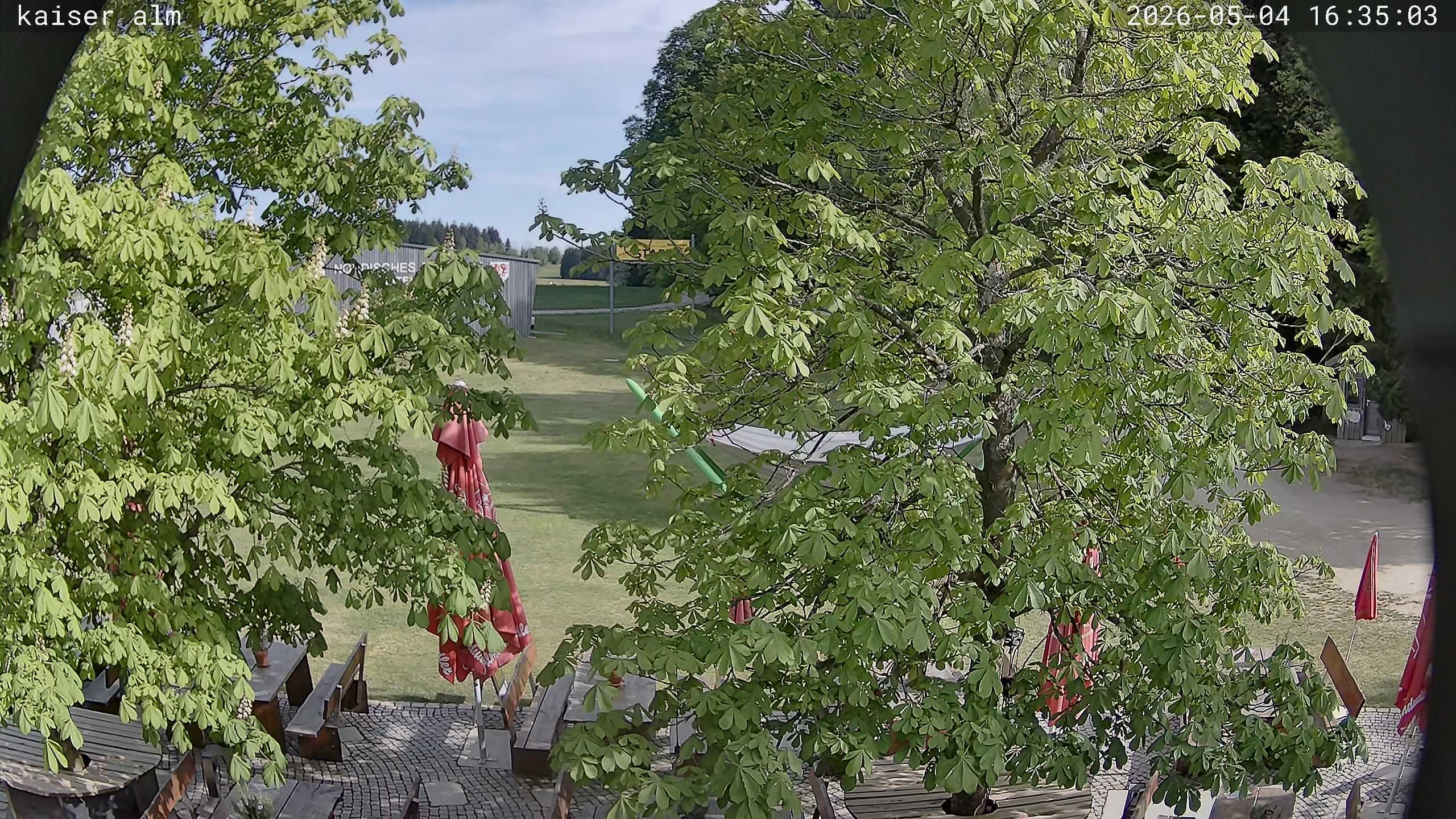Archiv Foto Webcam Kaiseralm Breitenberg