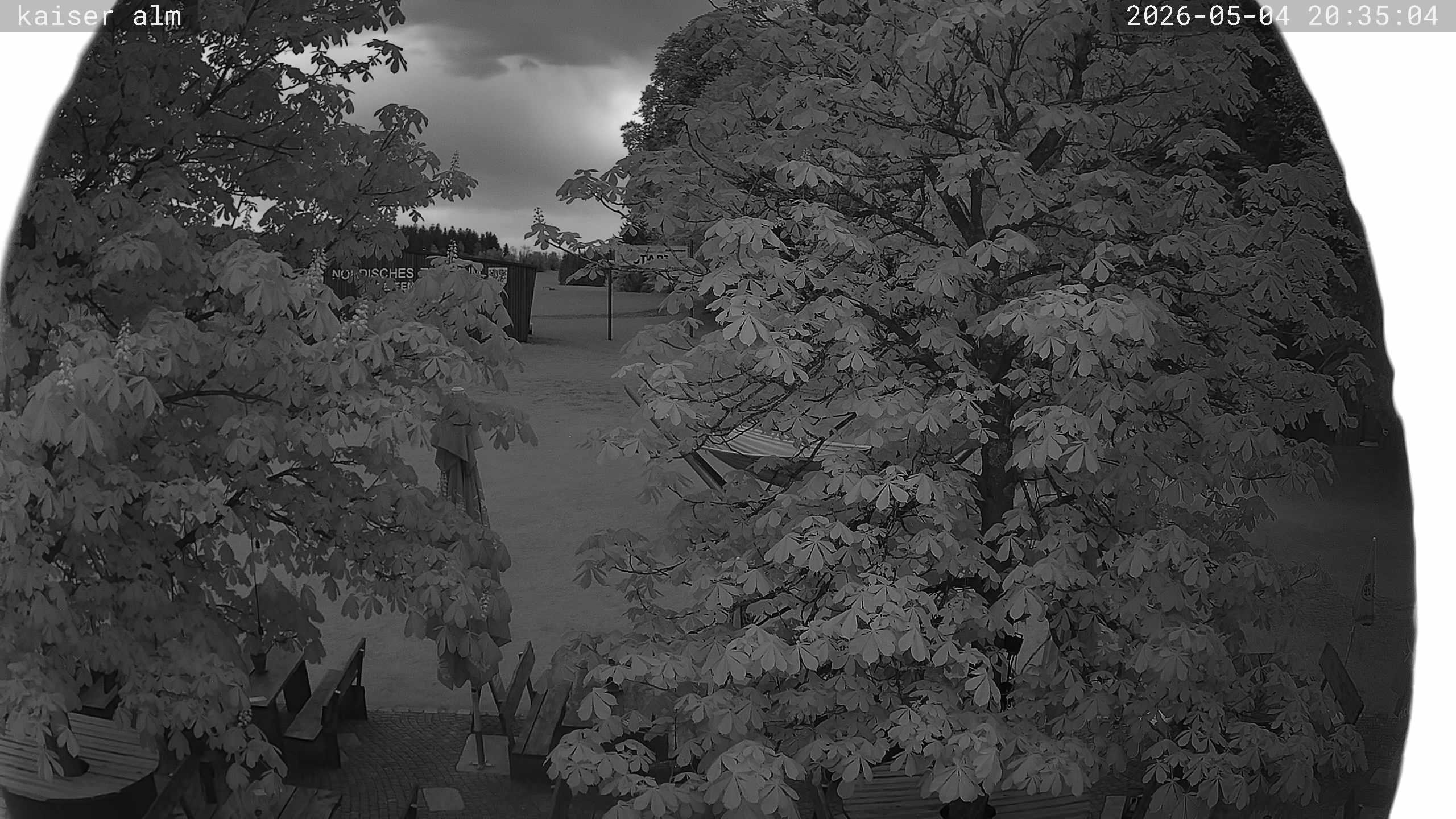 Archiv Foto Webcam Kaiseralm Breitenberg