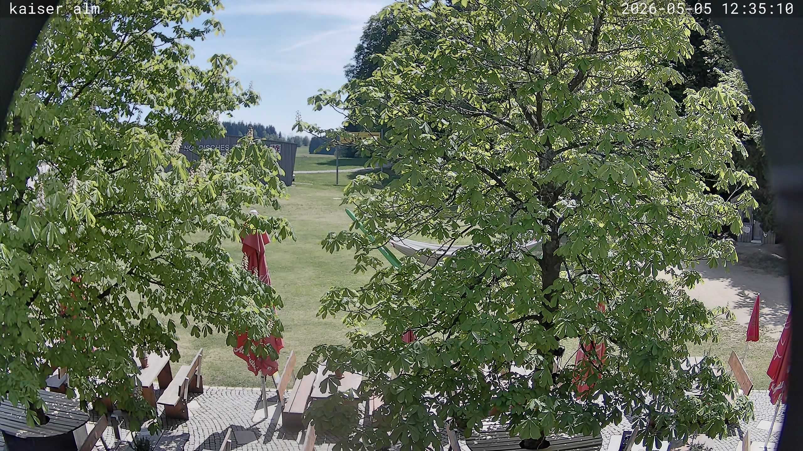 Archiv Foto Webcam Kaiseralm Breitenberg