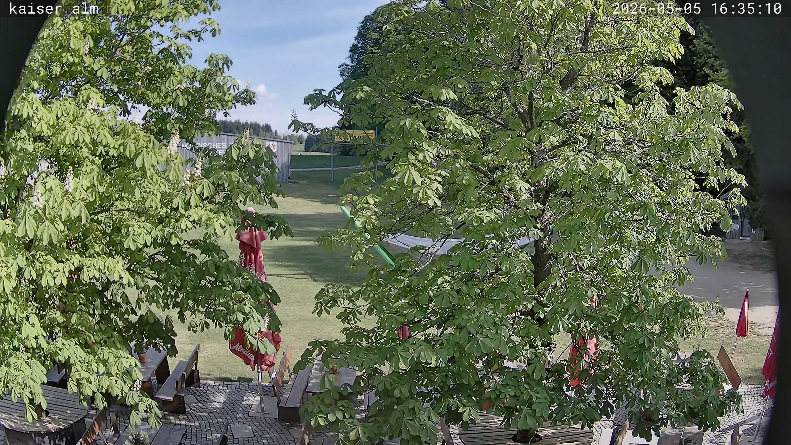 Archiv Foto Webcam Kaiseralm Breitenberg