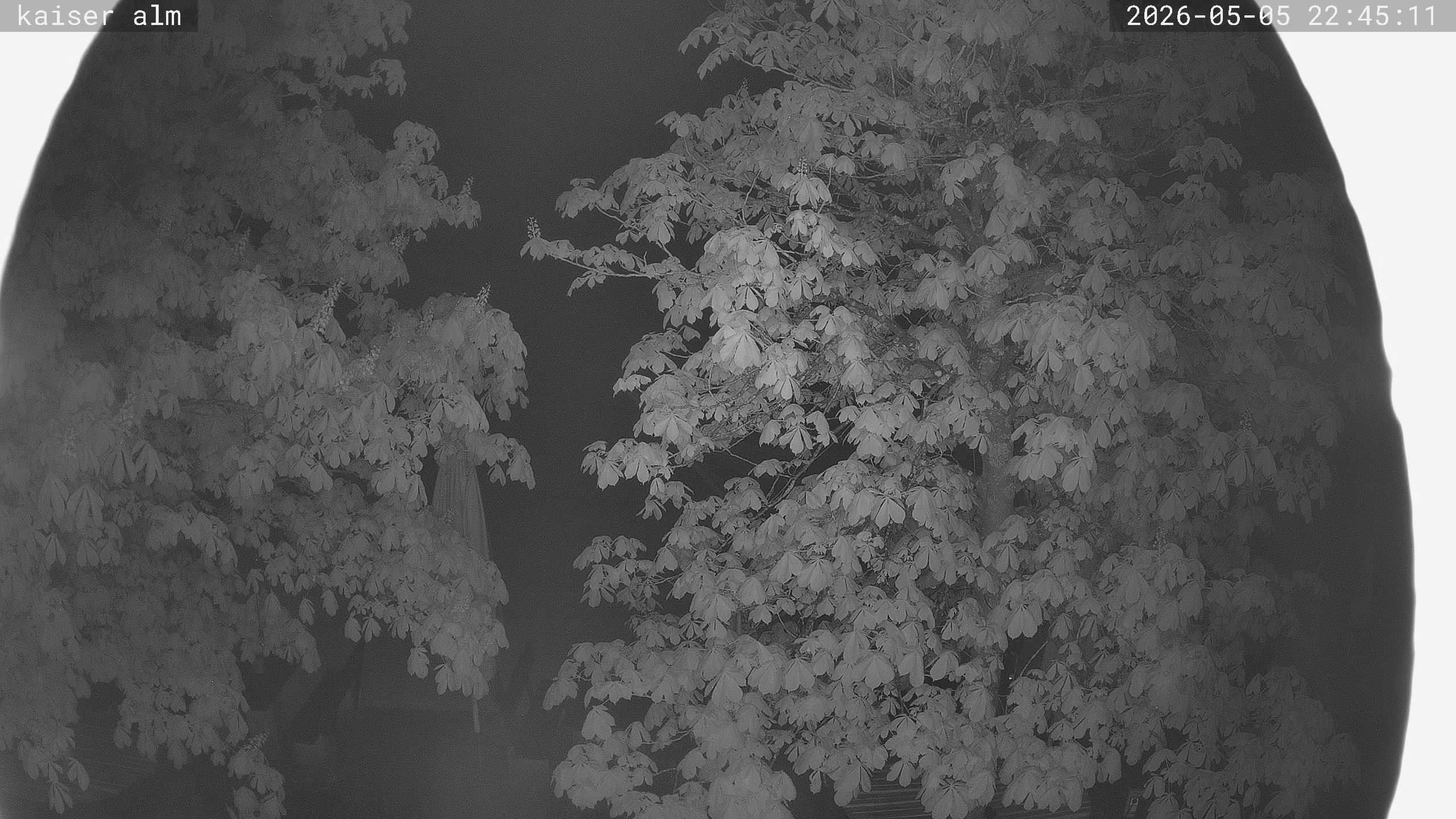 Archiv Foto Webcam Kaiseralm Breitenberg