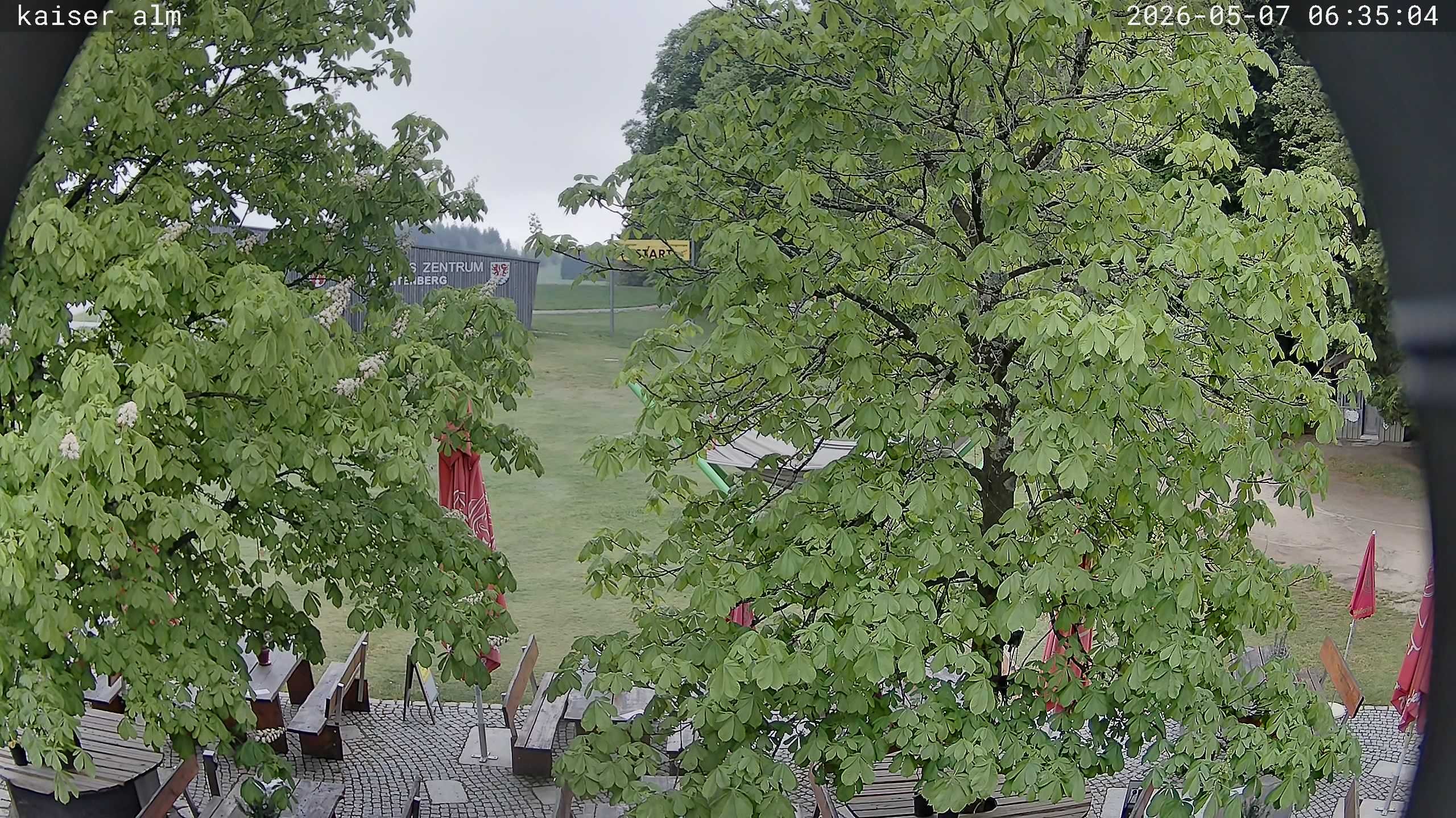Archived image Breitenberg - Webcam at Kaiseralm
