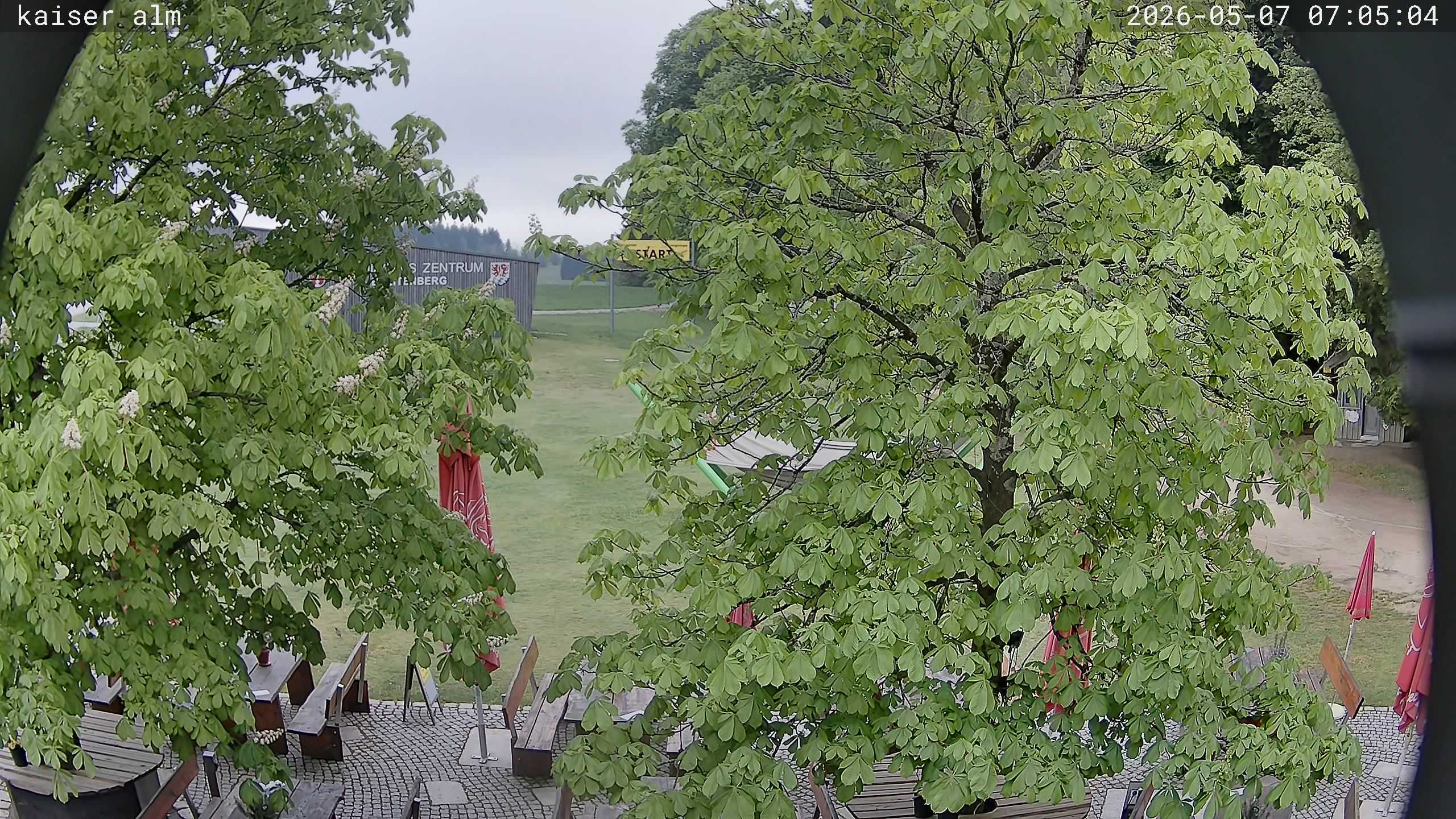 Archived image Breitenberg - Webcam at Kaiseralm