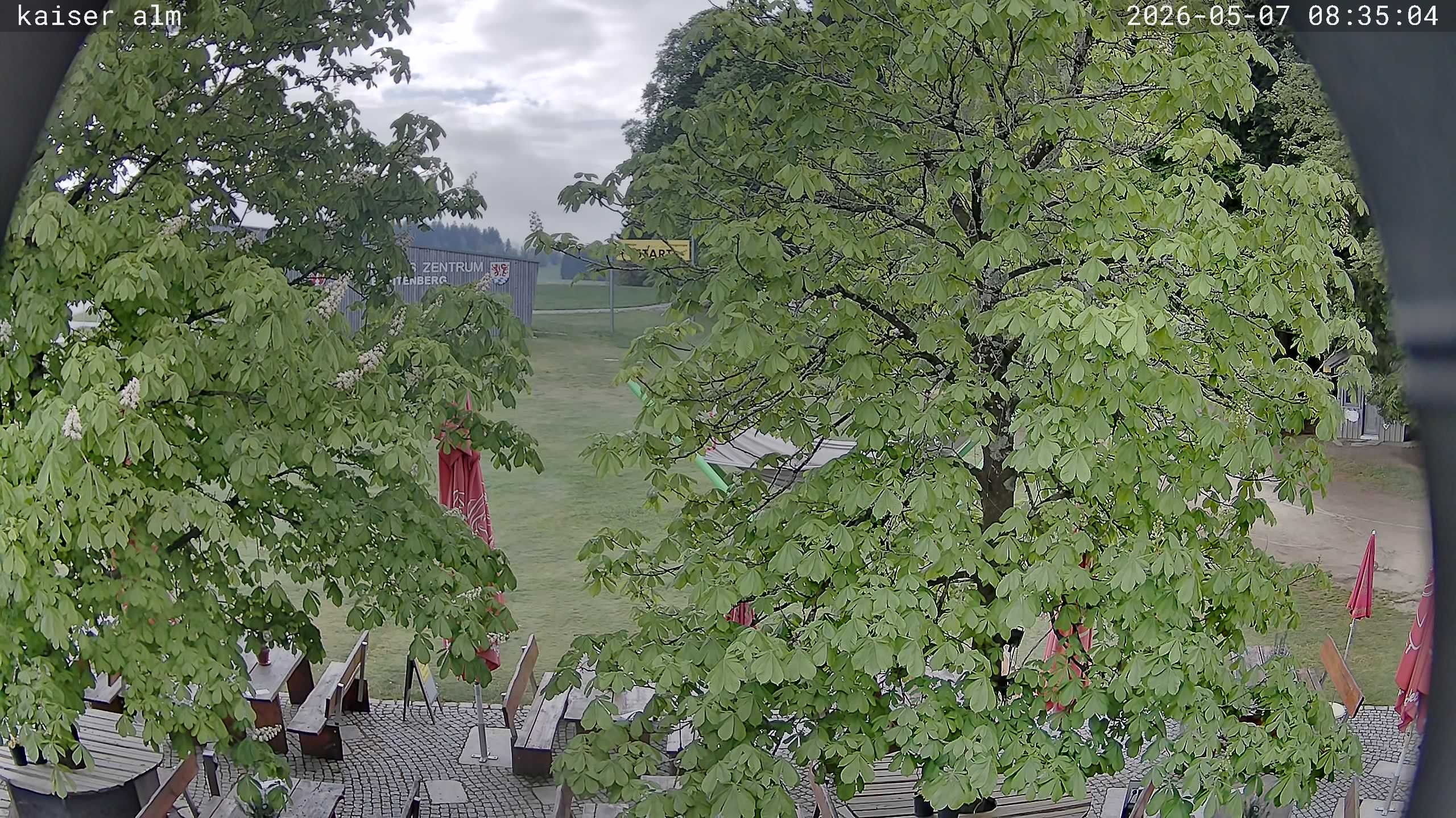 Archived image Breitenberg - Webcam at Kaiseralm