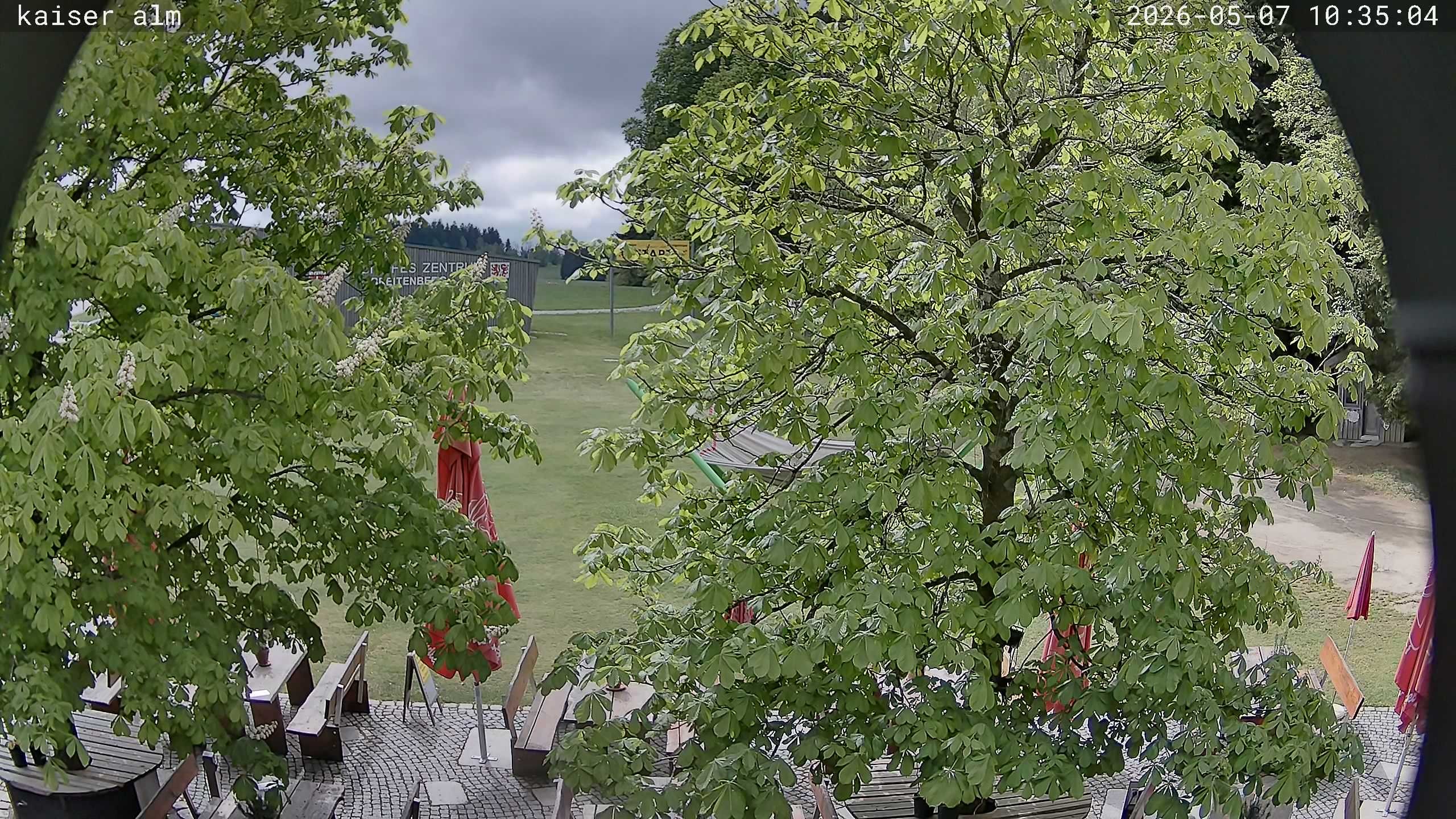 Archived image Breitenberg - Webcam at Kaiseralm