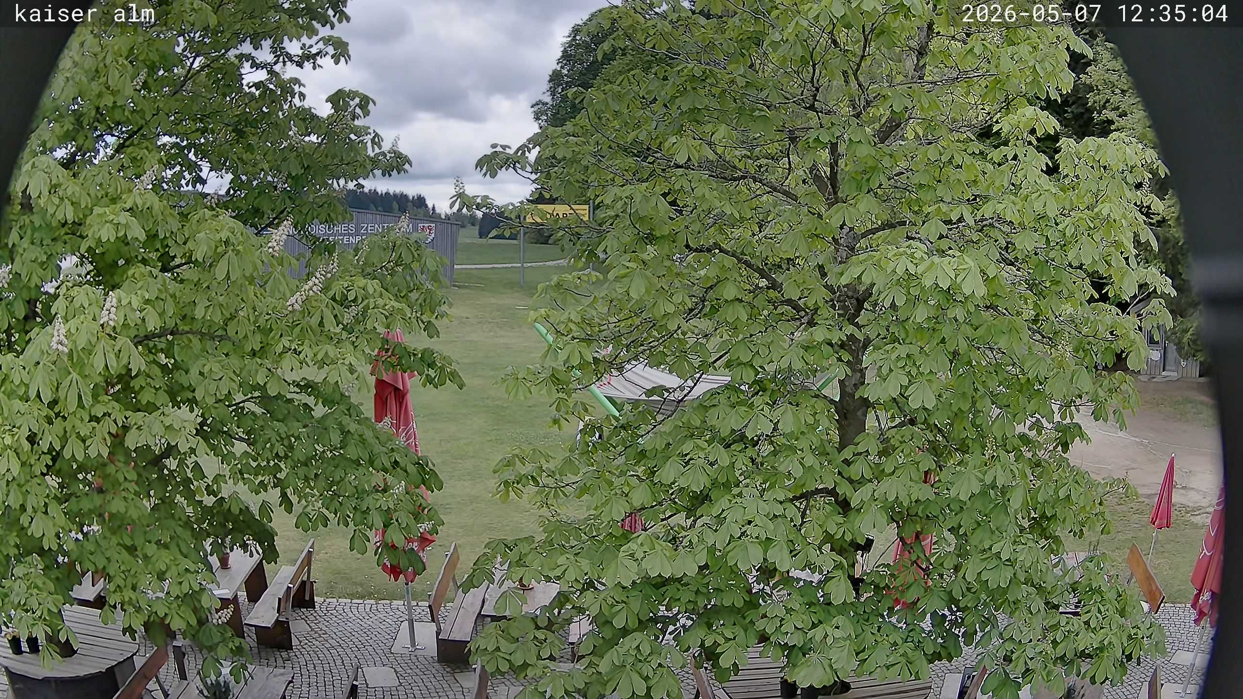 Archived image Breitenberg - Webcam at Kaiseralm