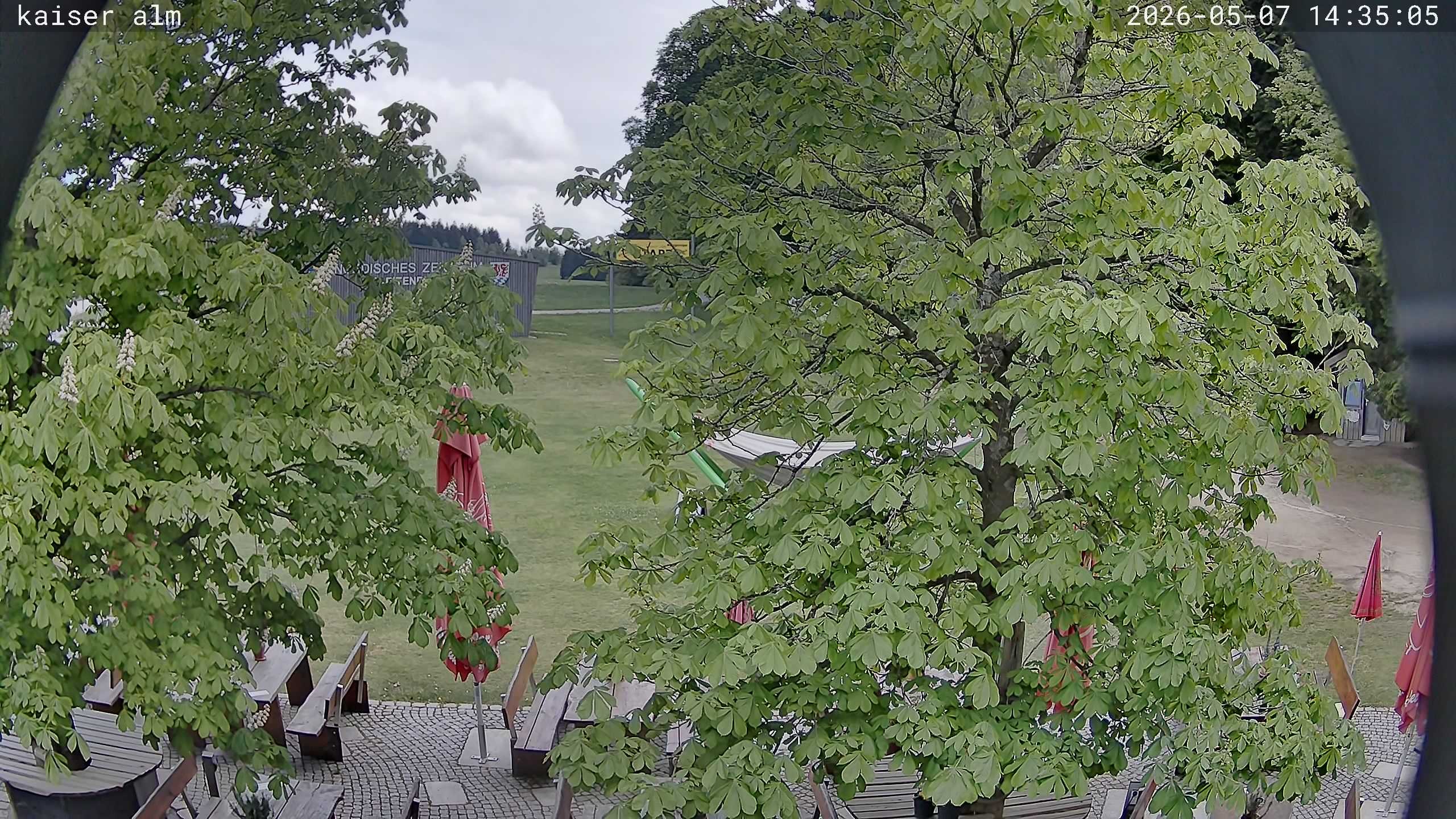 Archived image Breitenberg - Webcam at Kaiseralm