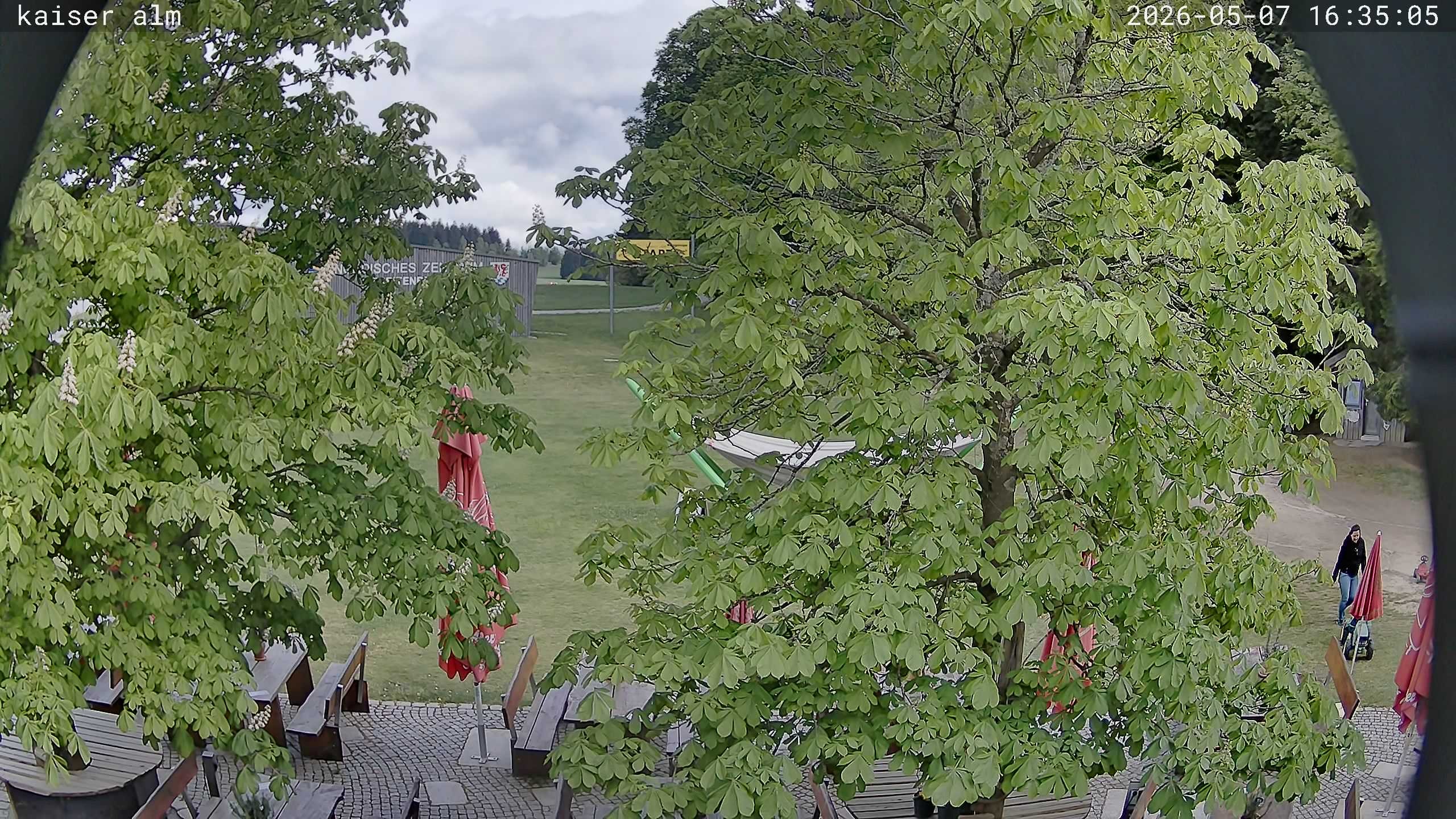 Archived image Breitenberg - Webcam at Kaiseralm