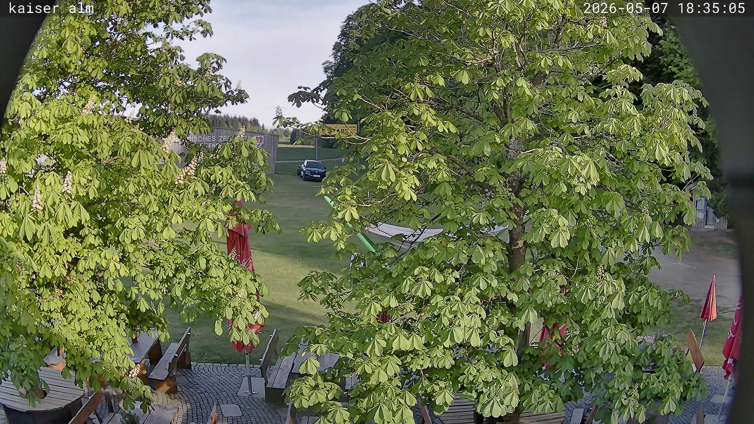 Archived image Breitenberg - Webcam at Kaiseralm