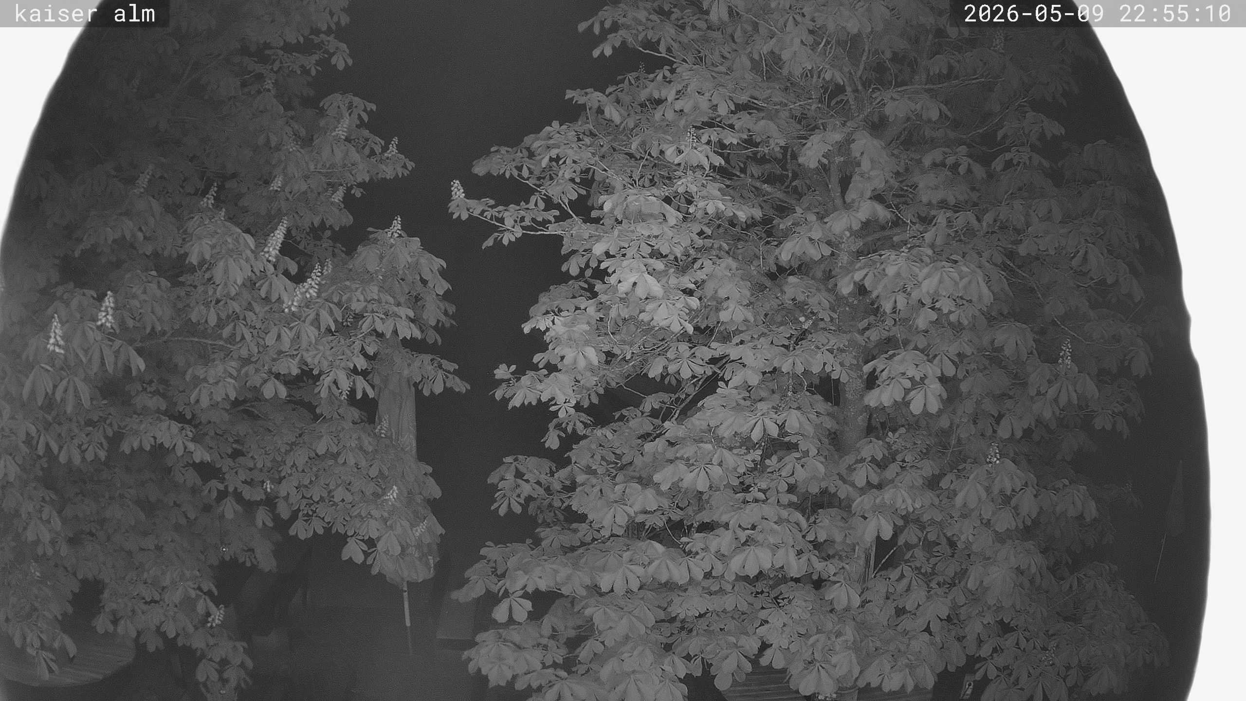 Archived image Breitenberg - Webcam at Kaiseralm