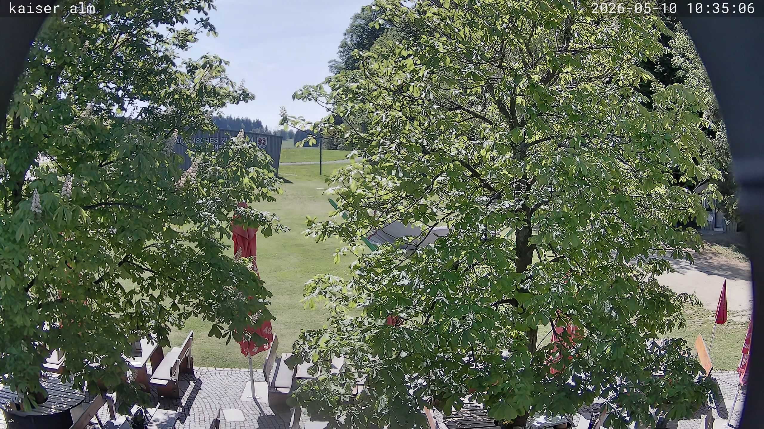 Archived image Breitenberg - Webcam at Kaiseralm