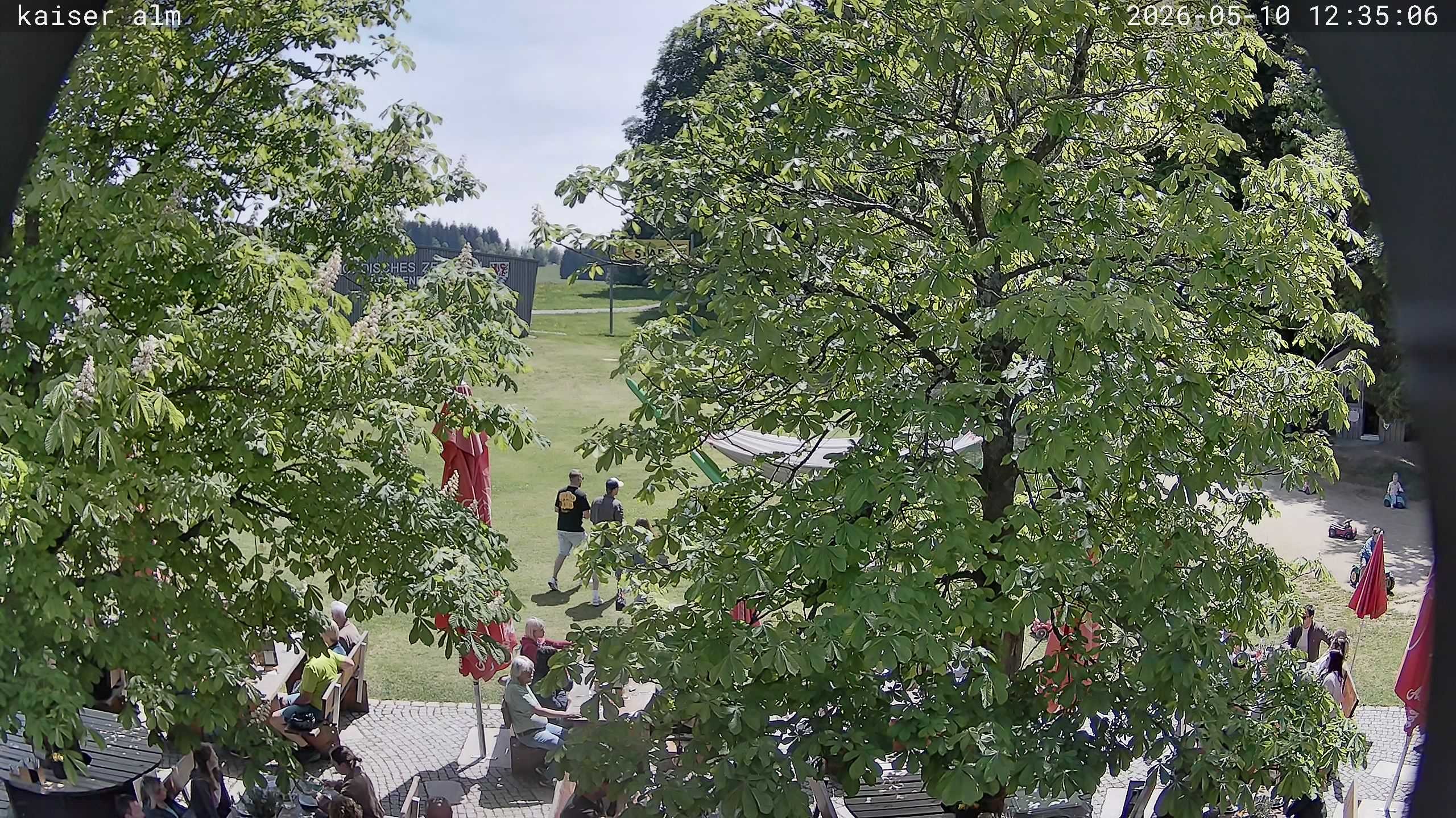 Archived image Breitenberg - Webcam at Kaiseralm