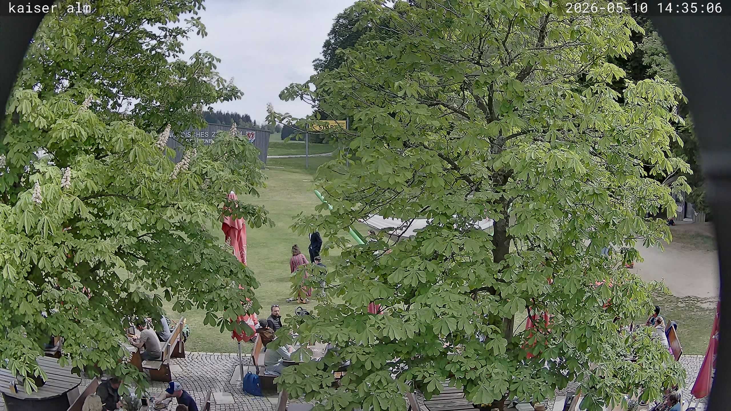 Archived image Breitenberg - Webcam at Kaiseralm