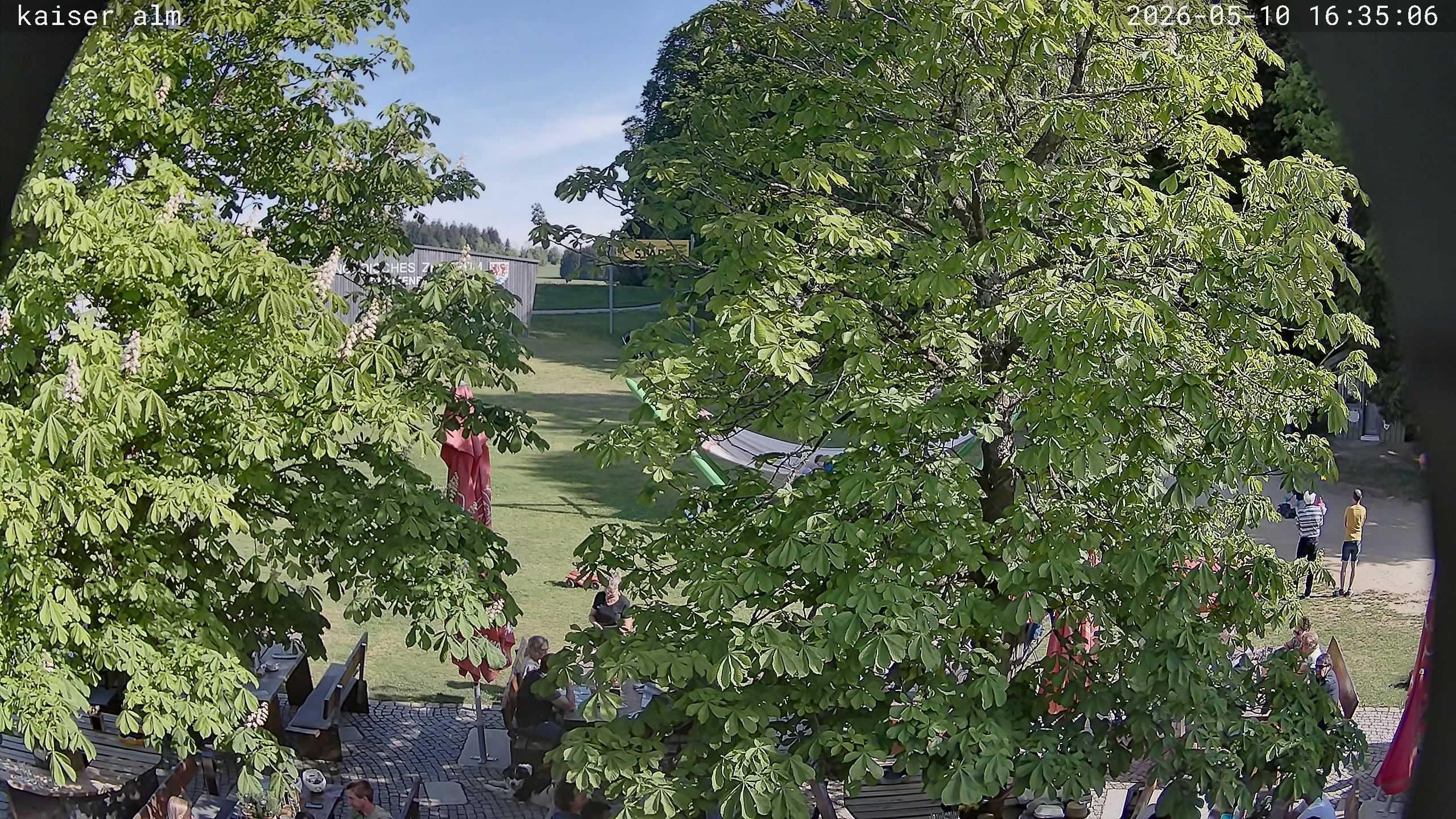 Archived image Breitenberg - Webcam at Kaiseralm