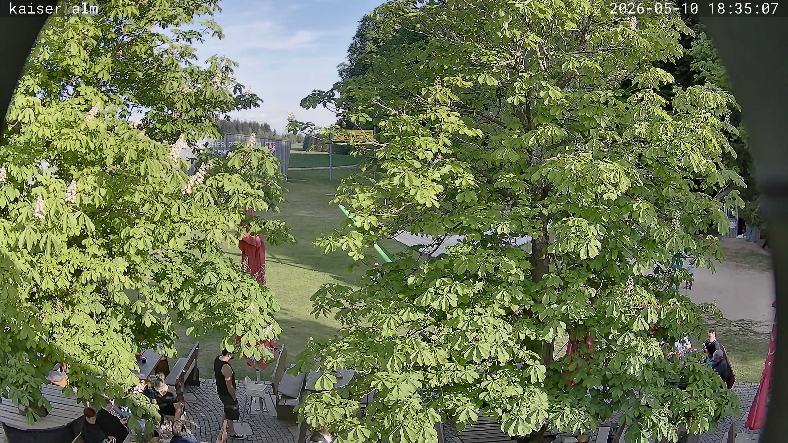 Archived image Breitenberg - Webcam at Kaiseralm