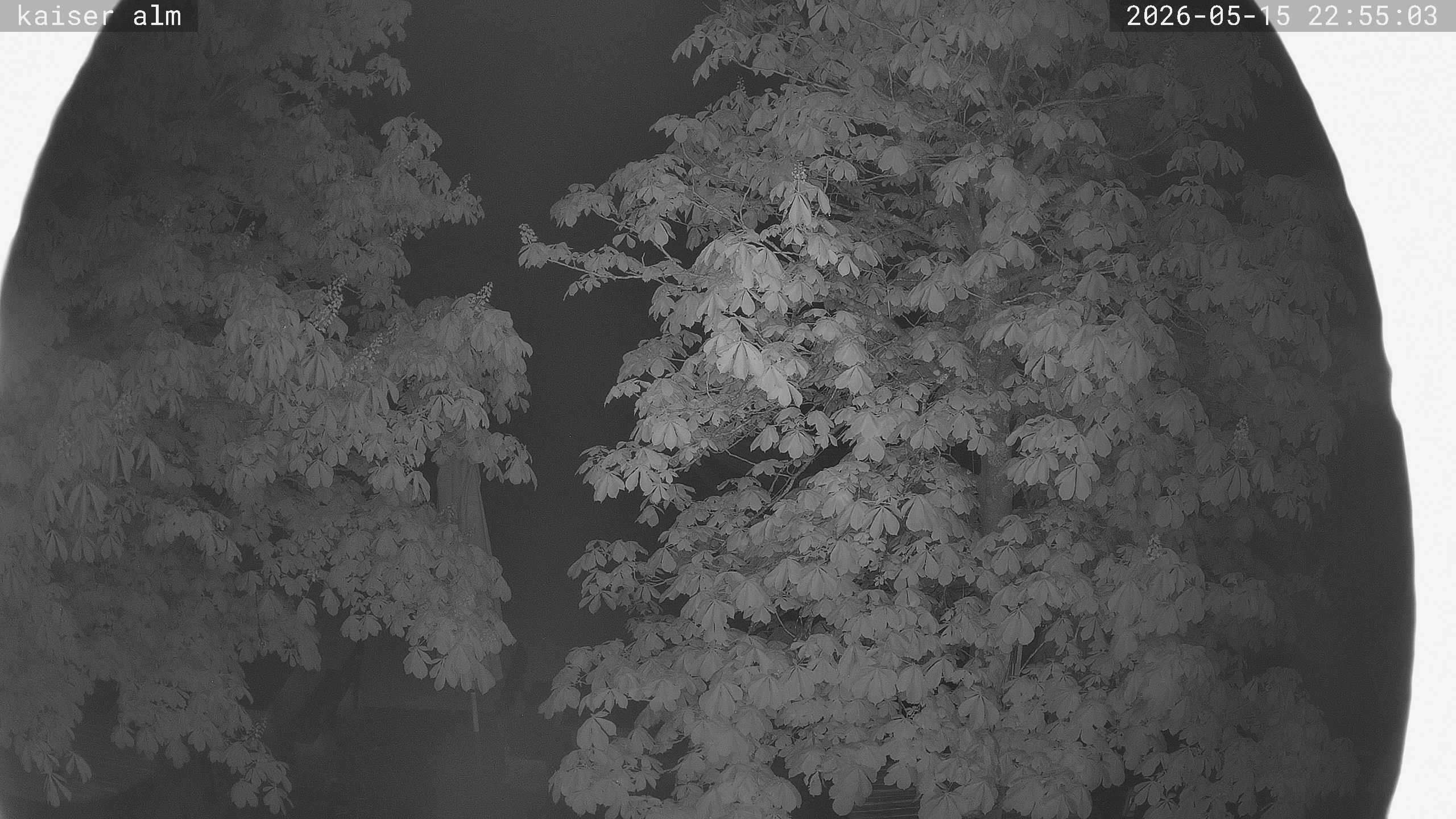 Archived image Breitenberg - Webcam at Kaiseralm