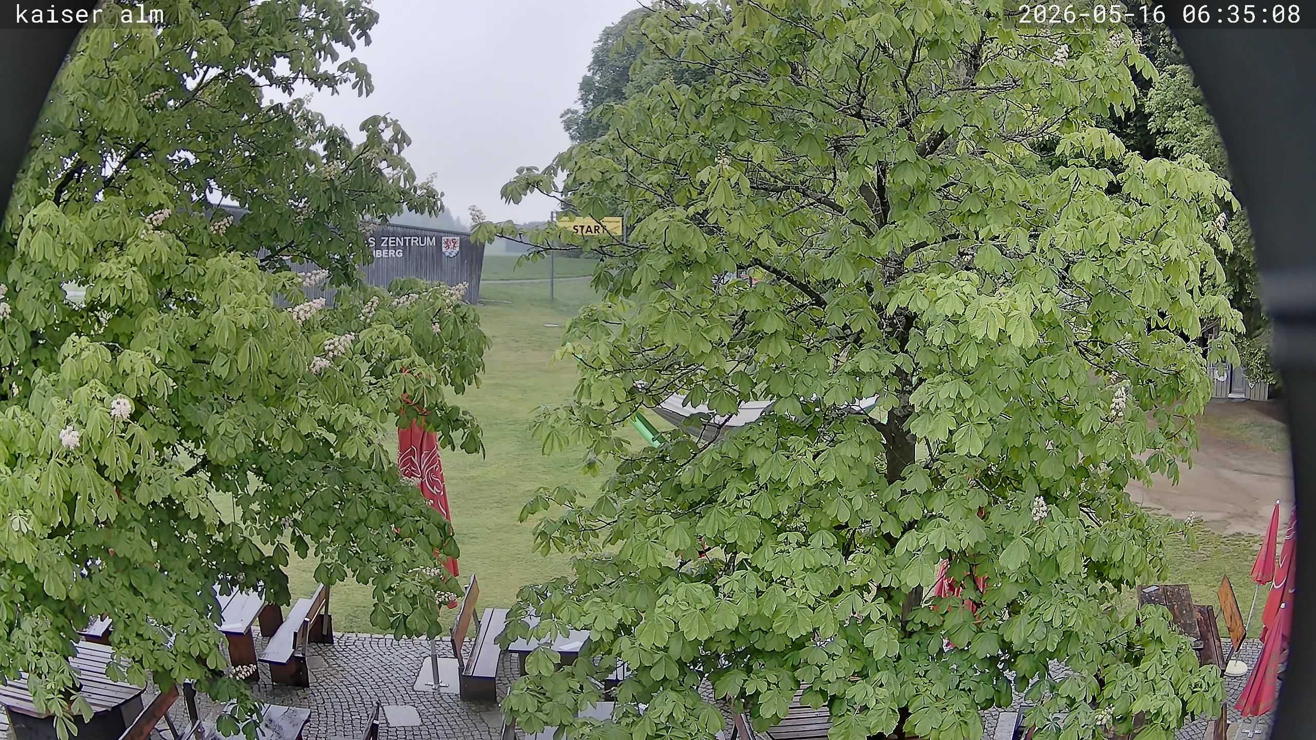 Archived image Breitenberg - Webcam at Kaiseralm