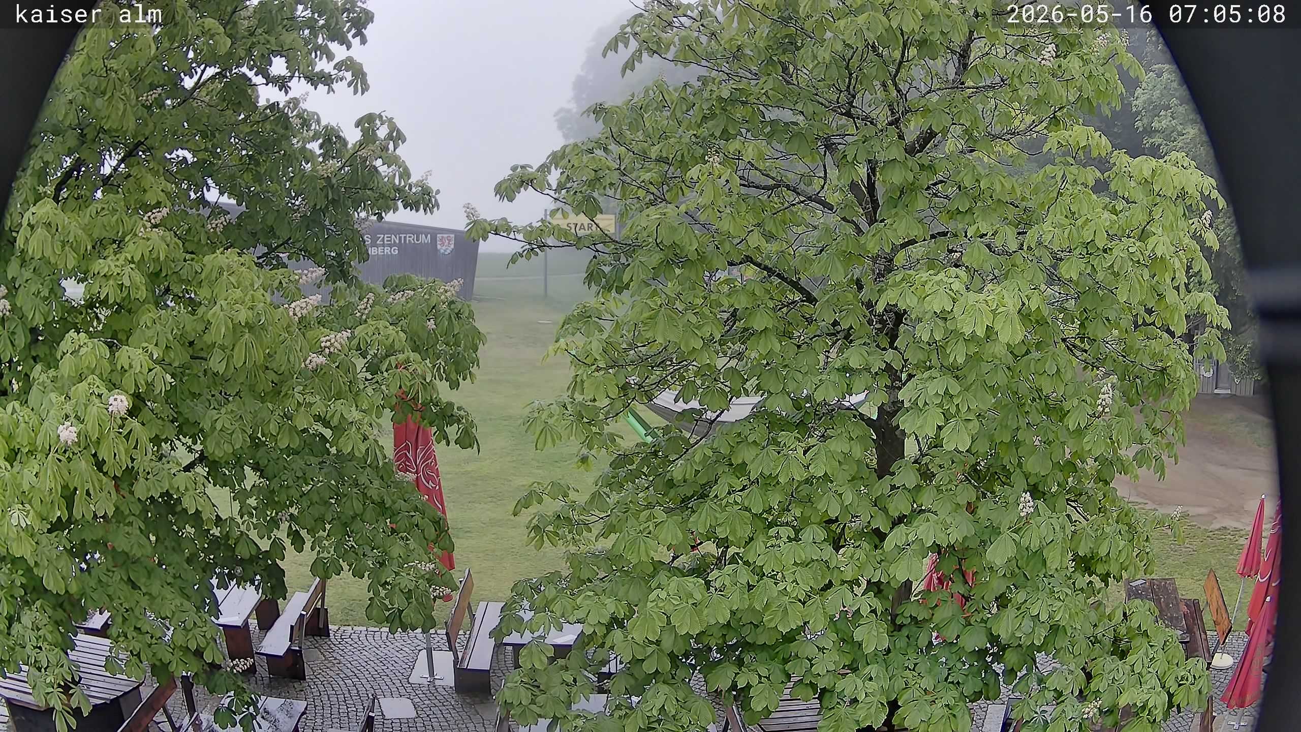 Archived image Breitenberg - Webcam at Kaiseralm