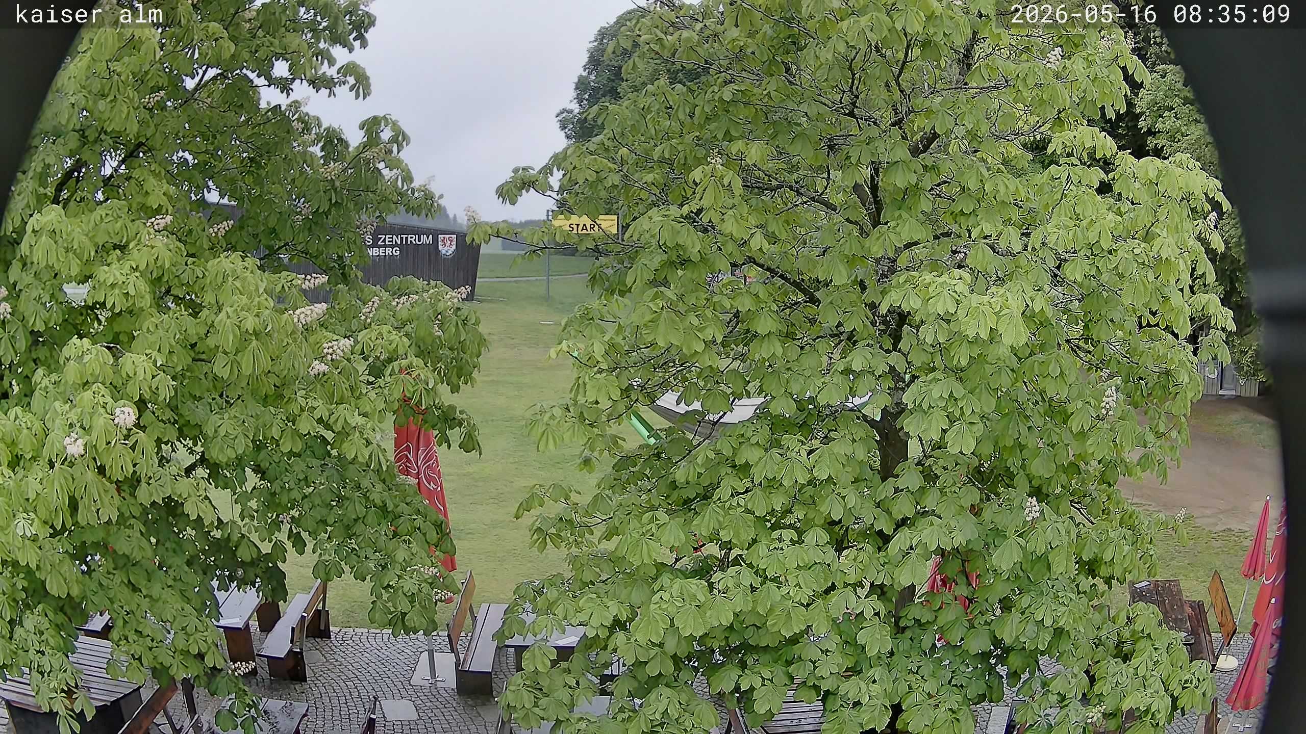 Archived image Breitenberg - Webcam at Kaiseralm