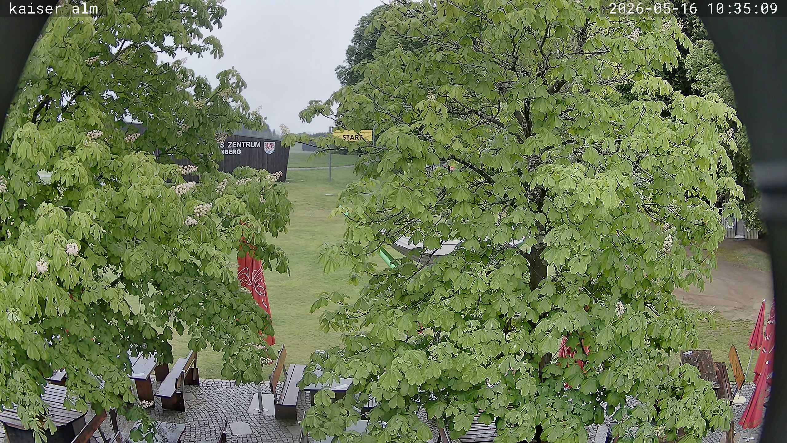Archived image Breitenberg - Webcam at Kaiseralm