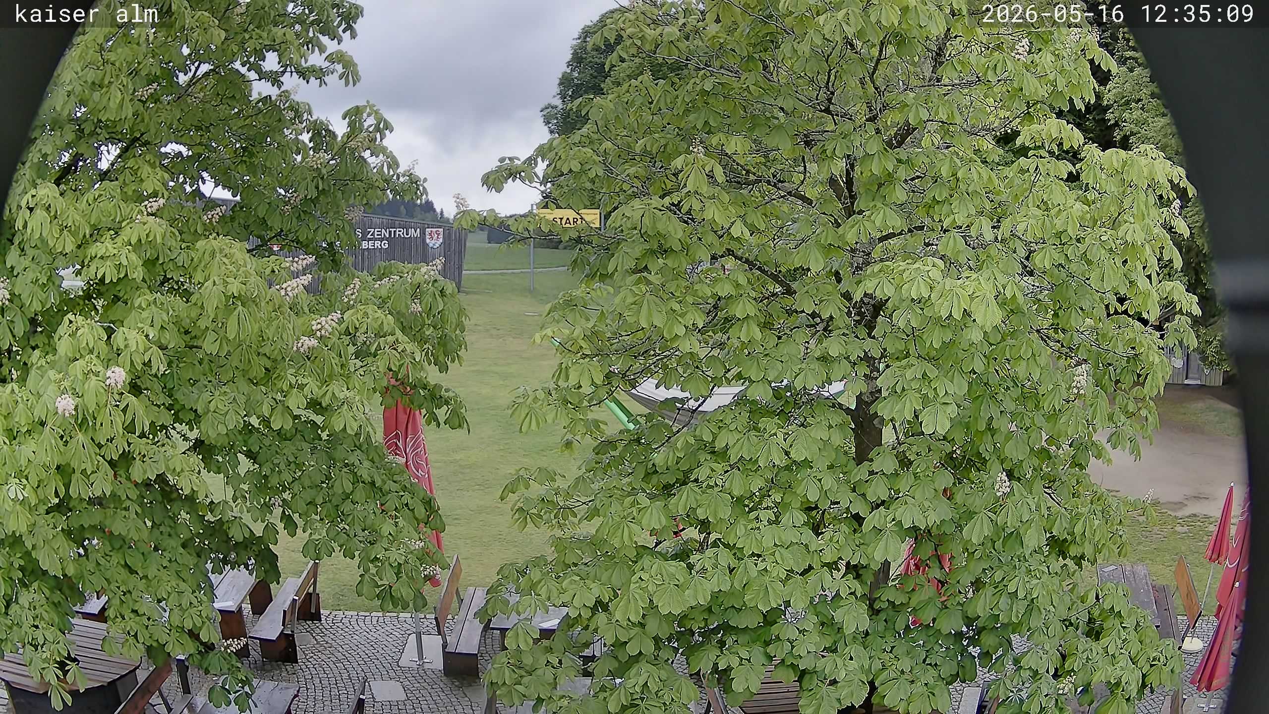 Archived image Breitenberg - Webcam at Kaiseralm