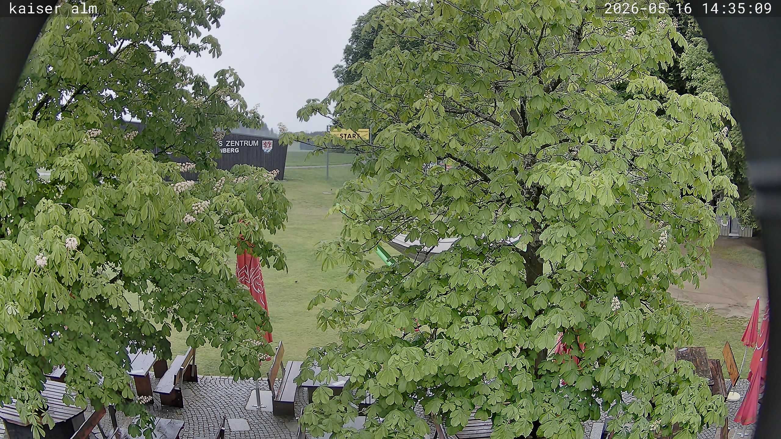 Archived image Breitenberg - Webcam at Kaiseralm