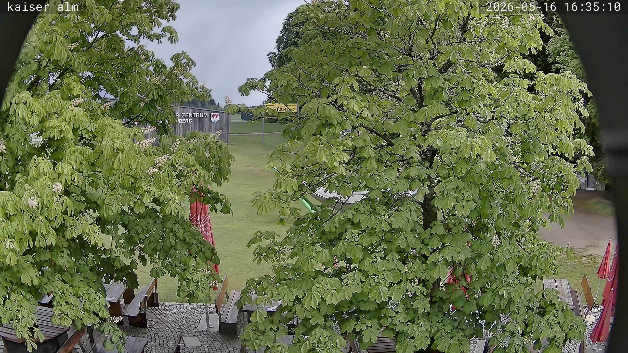 Archived image Breitenberg - Webcam at Kaiseralm