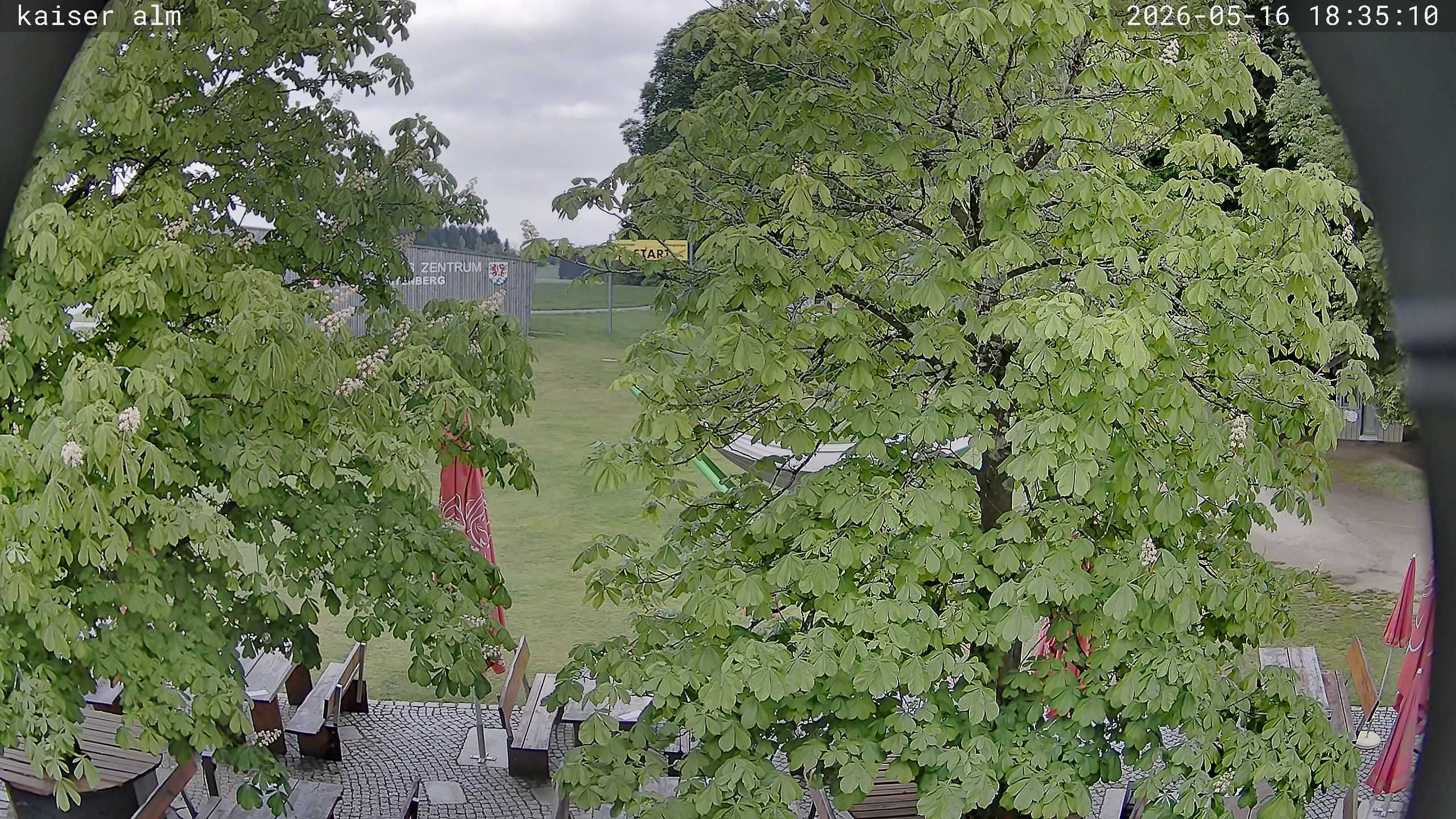 Archived image Breitenberg - Webcam at Kaiseralm