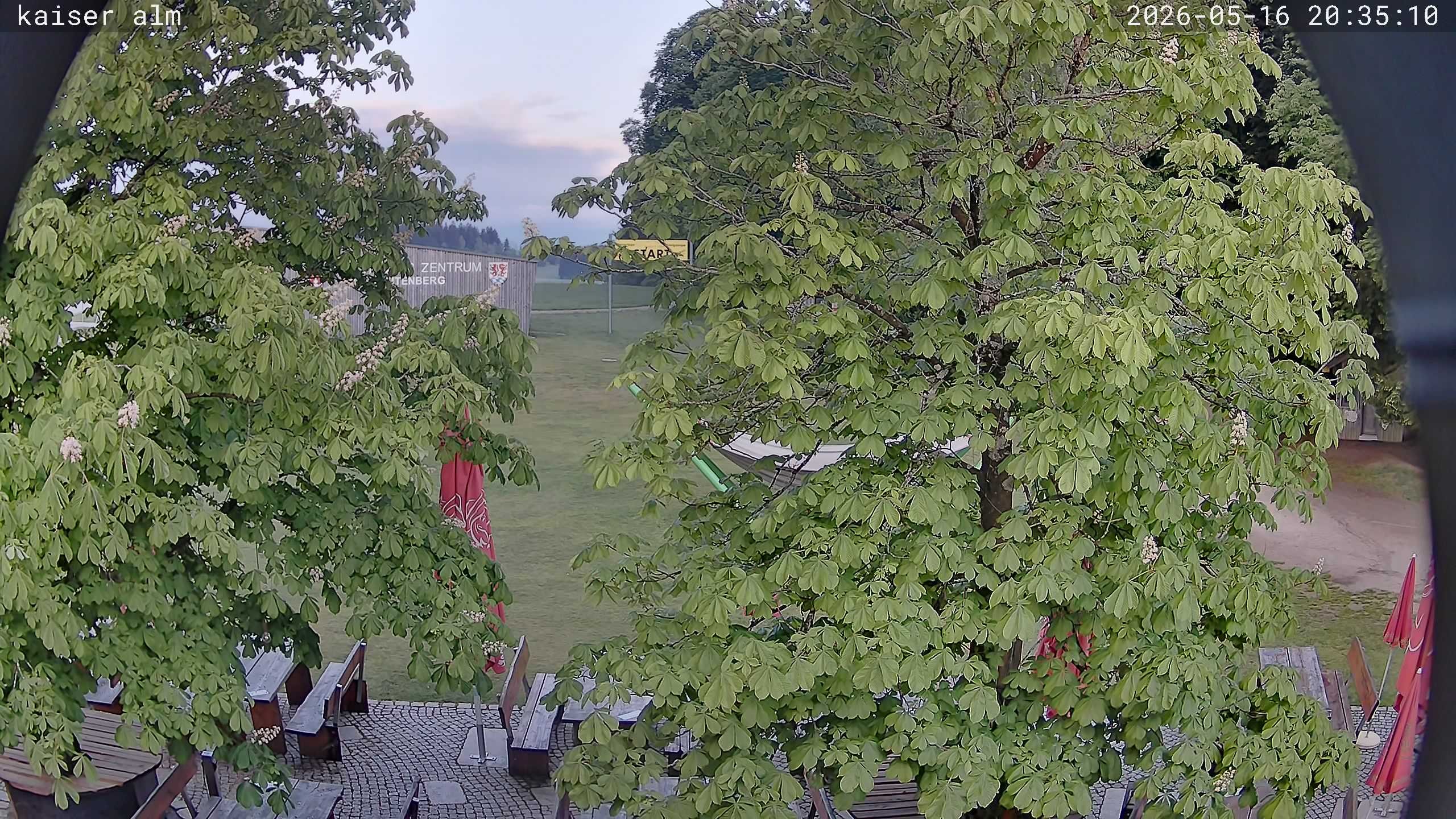 Archived image Breitenberg - Webcam at Kaiseralm