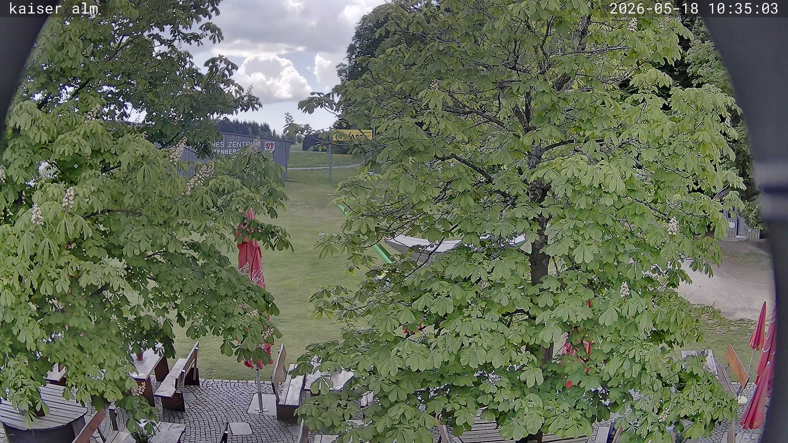 Archiv Foto Webcam Kaiseralm Breitenberg