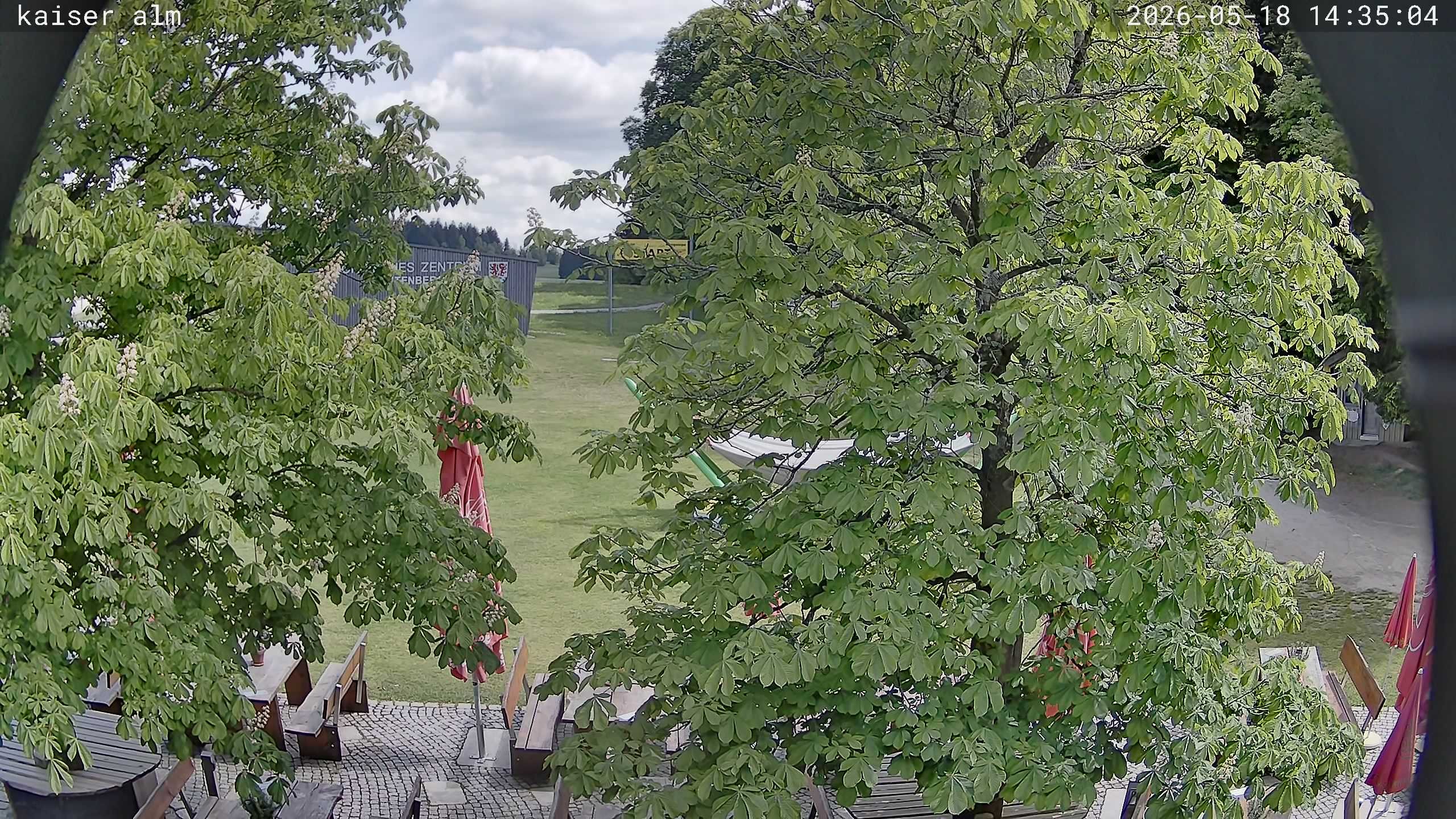 Archiv Foto Webcam Kaiseralm Breitenberg