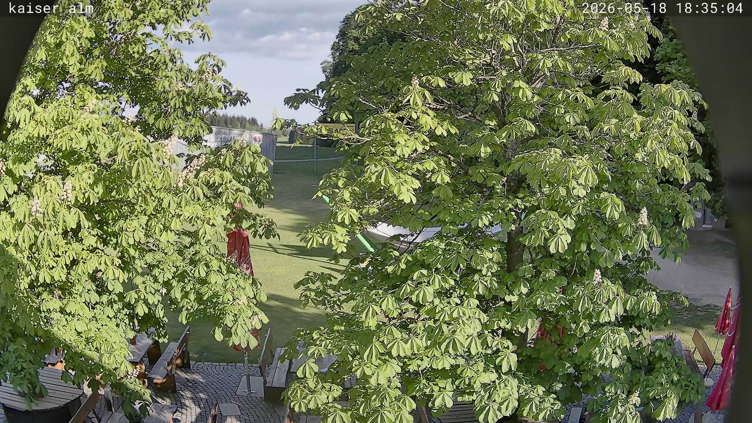 Archiv Foto Webcam Kaiseralm Breitenberg